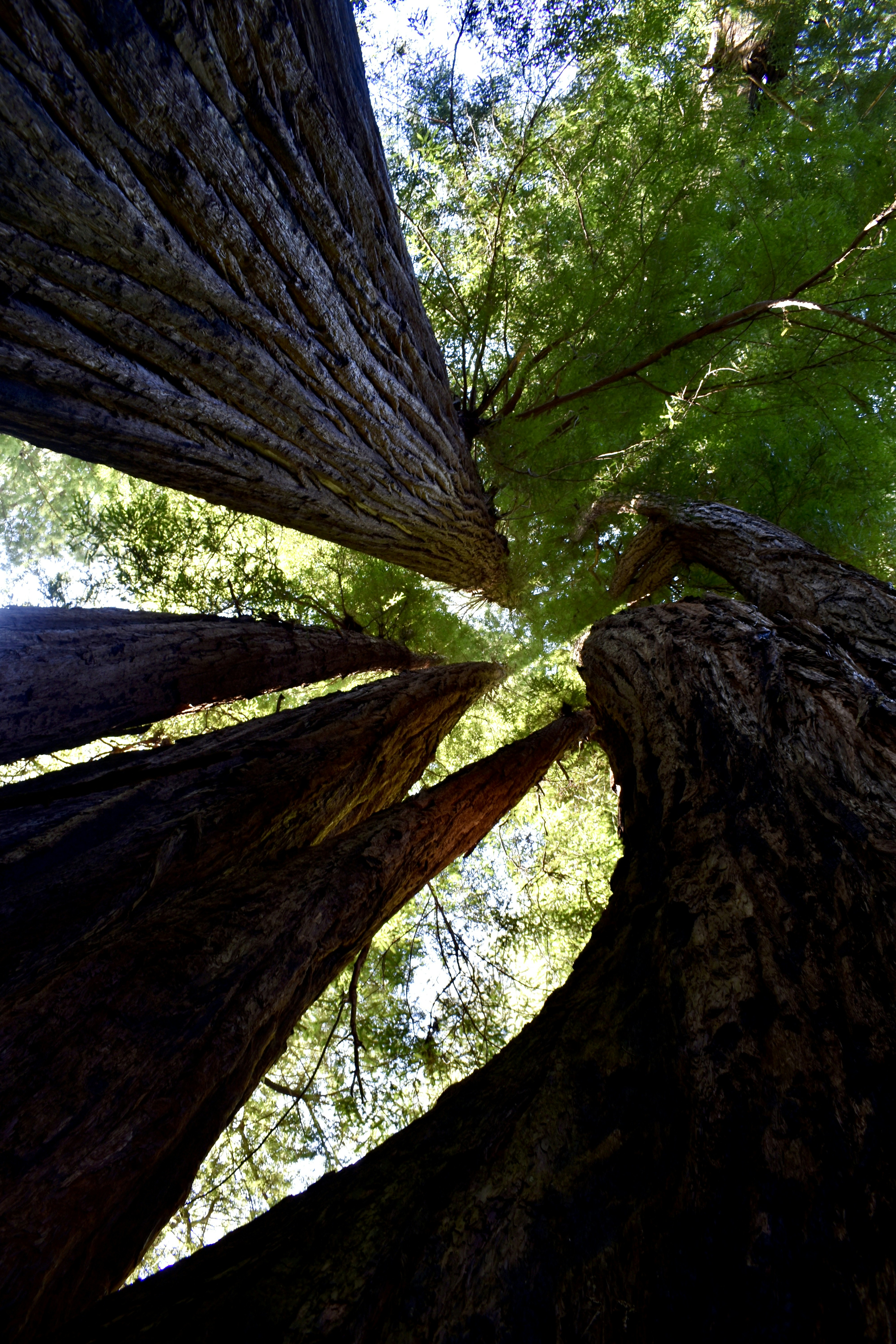 Photo by logan_easterling