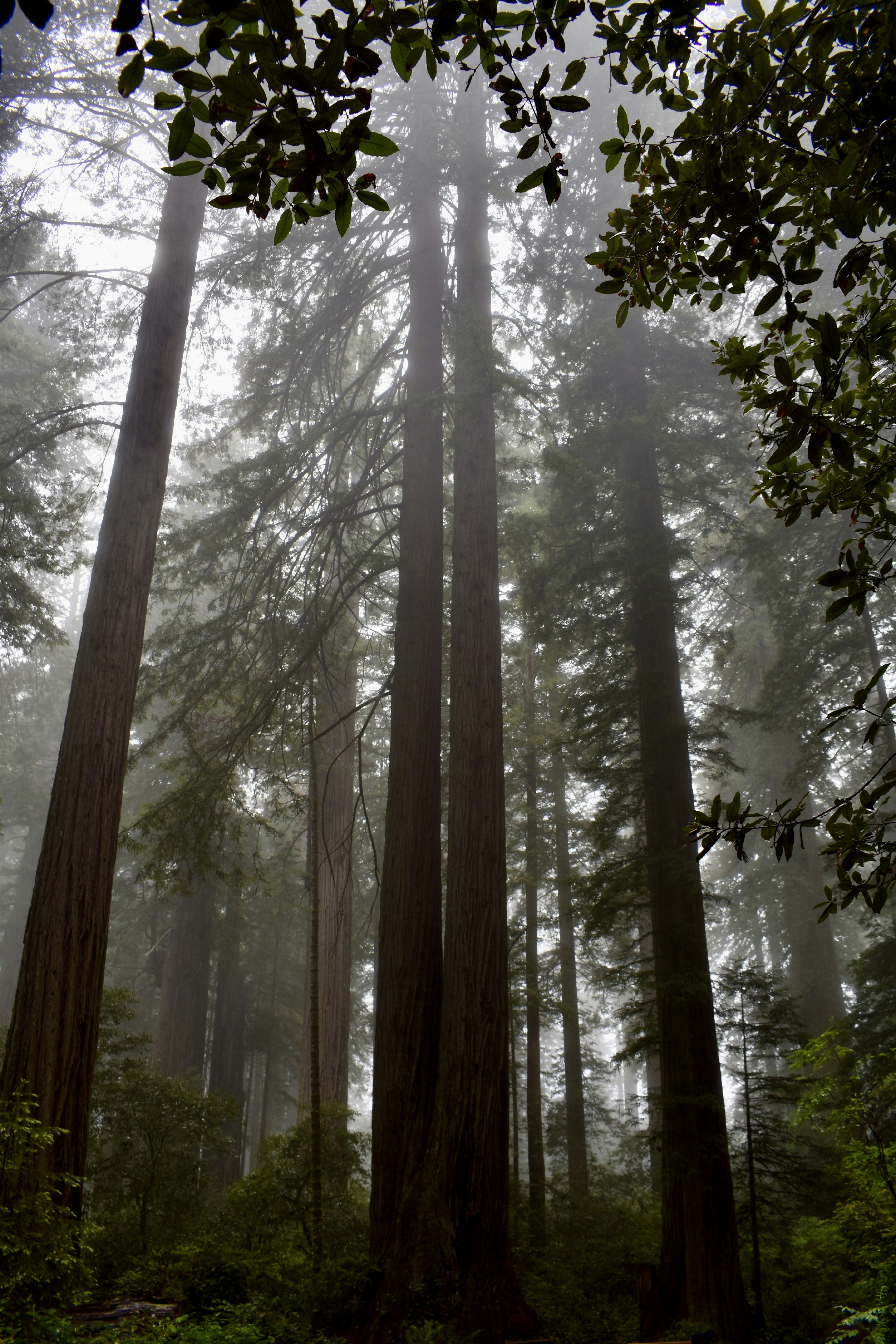 Photo by logan_easterling