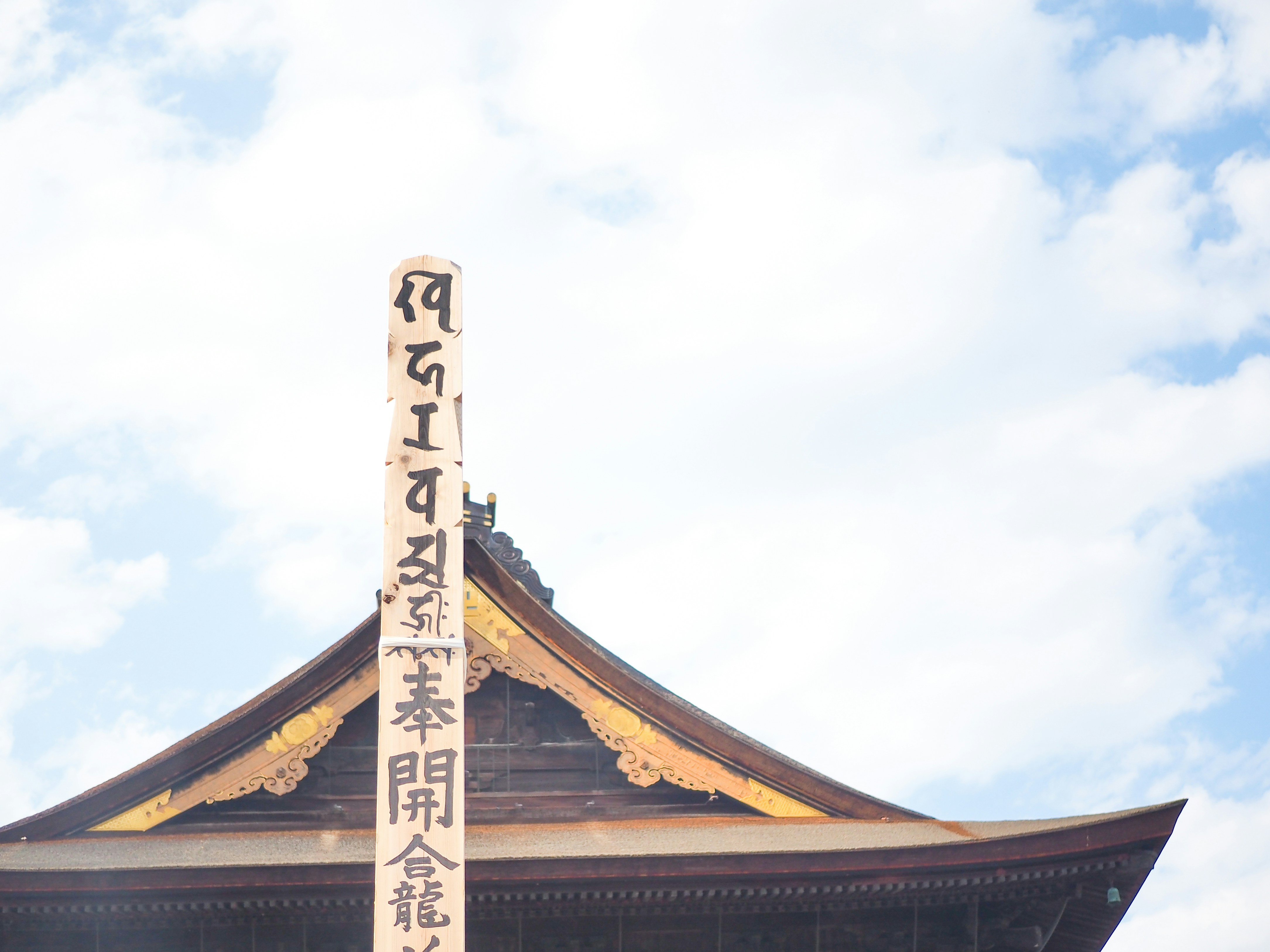 Photo by blue_hamberts