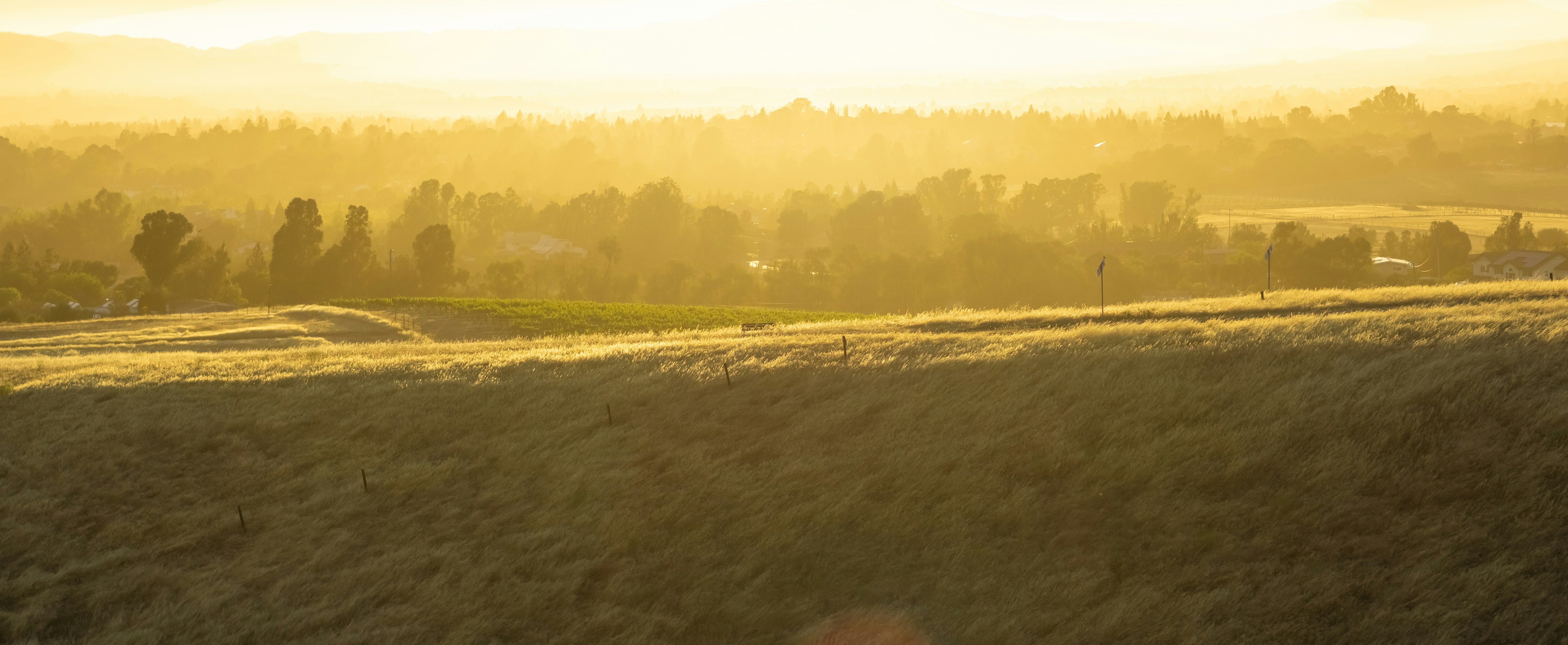 AutoFUS: Automated AI, No Cloud, No Manual Tuning