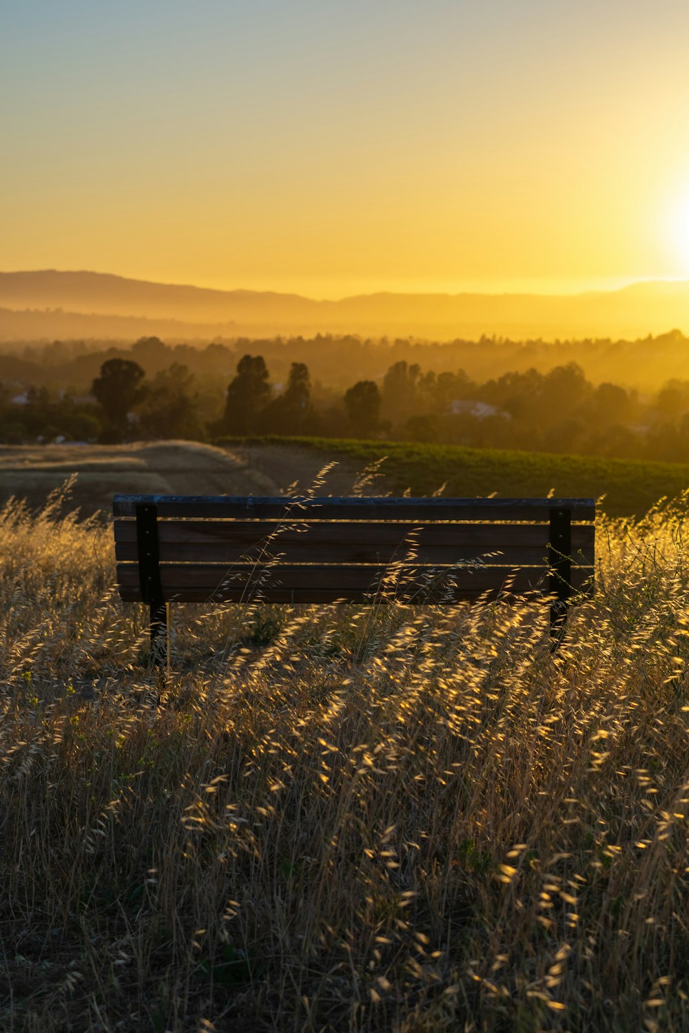 a bench in a field with the sun setting in the background