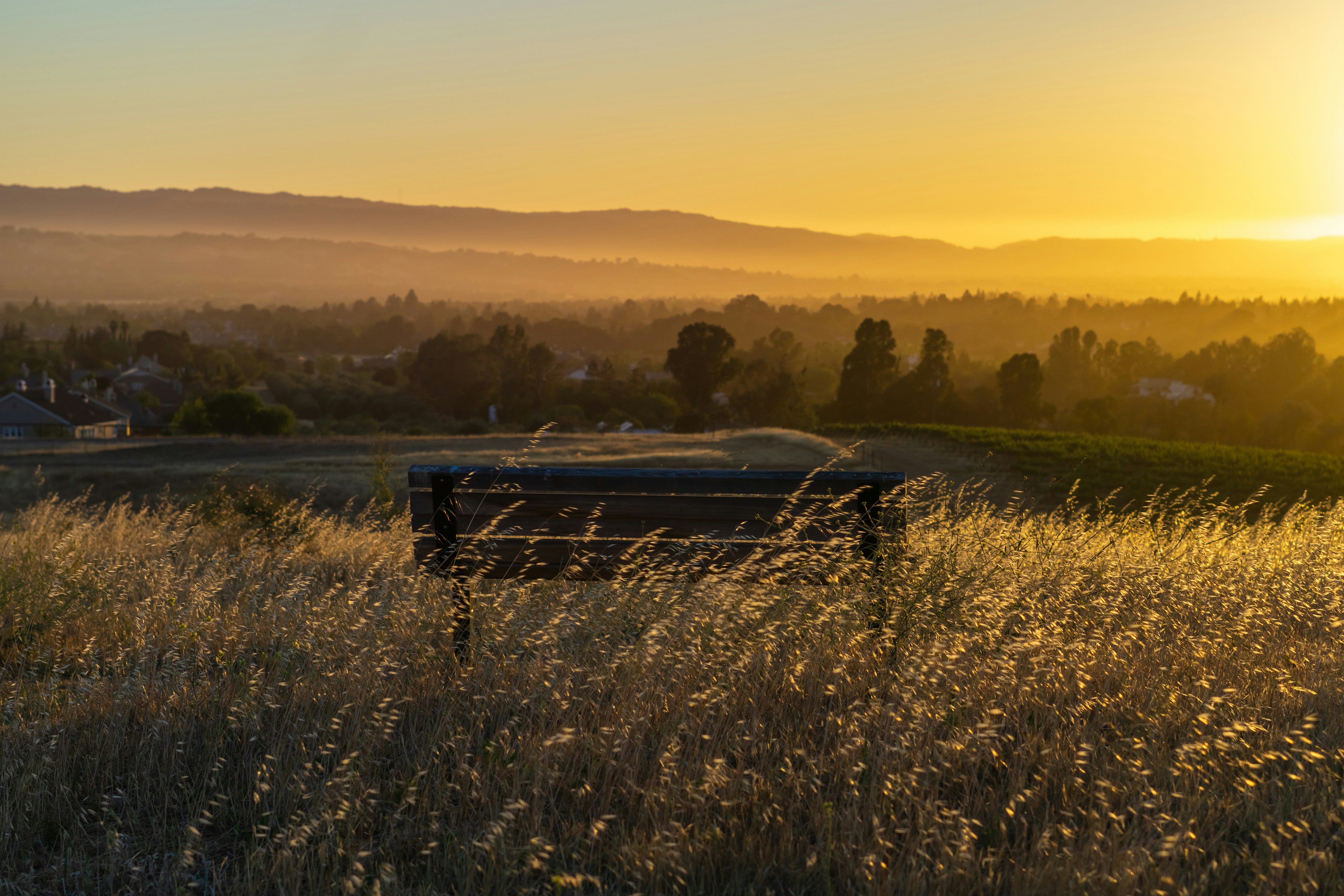 a bench sitting in the middle of a field