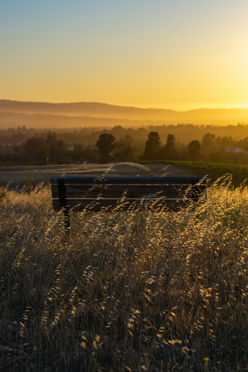 a bench sitting in the middle of a field