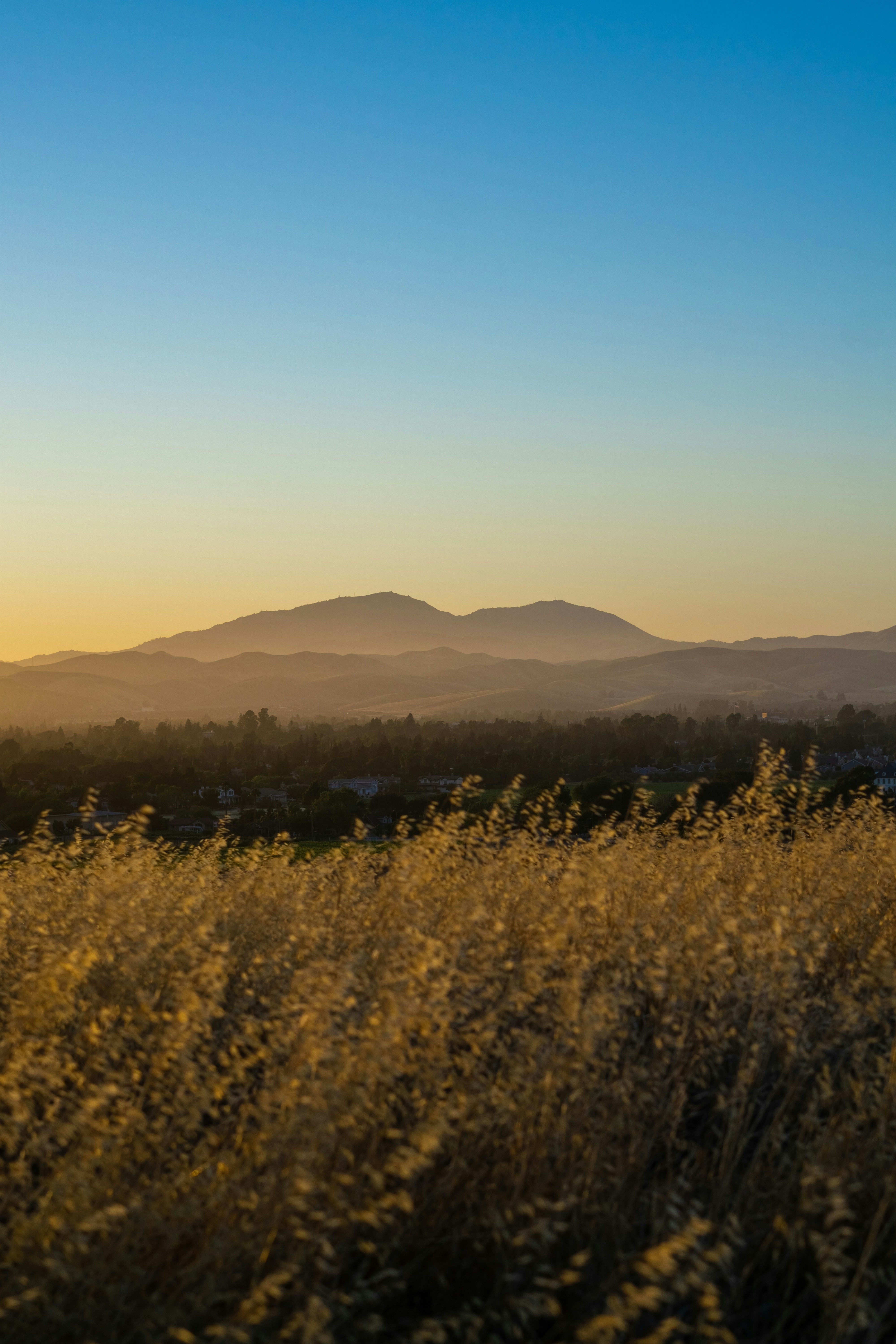 Photo by spencer_demera