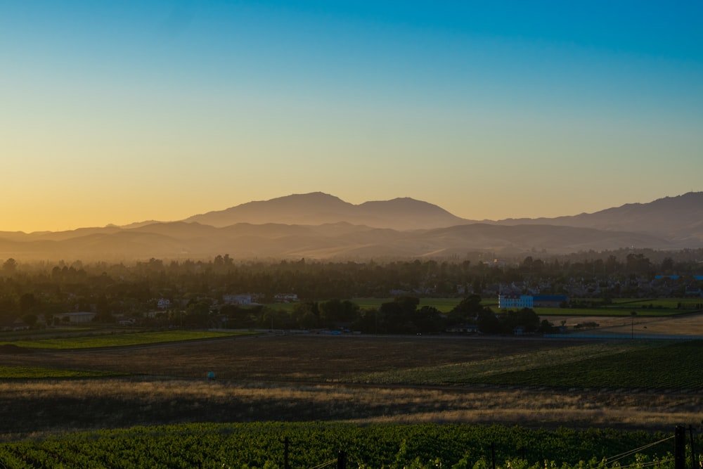 the sun is setting over a vineyard and mountains