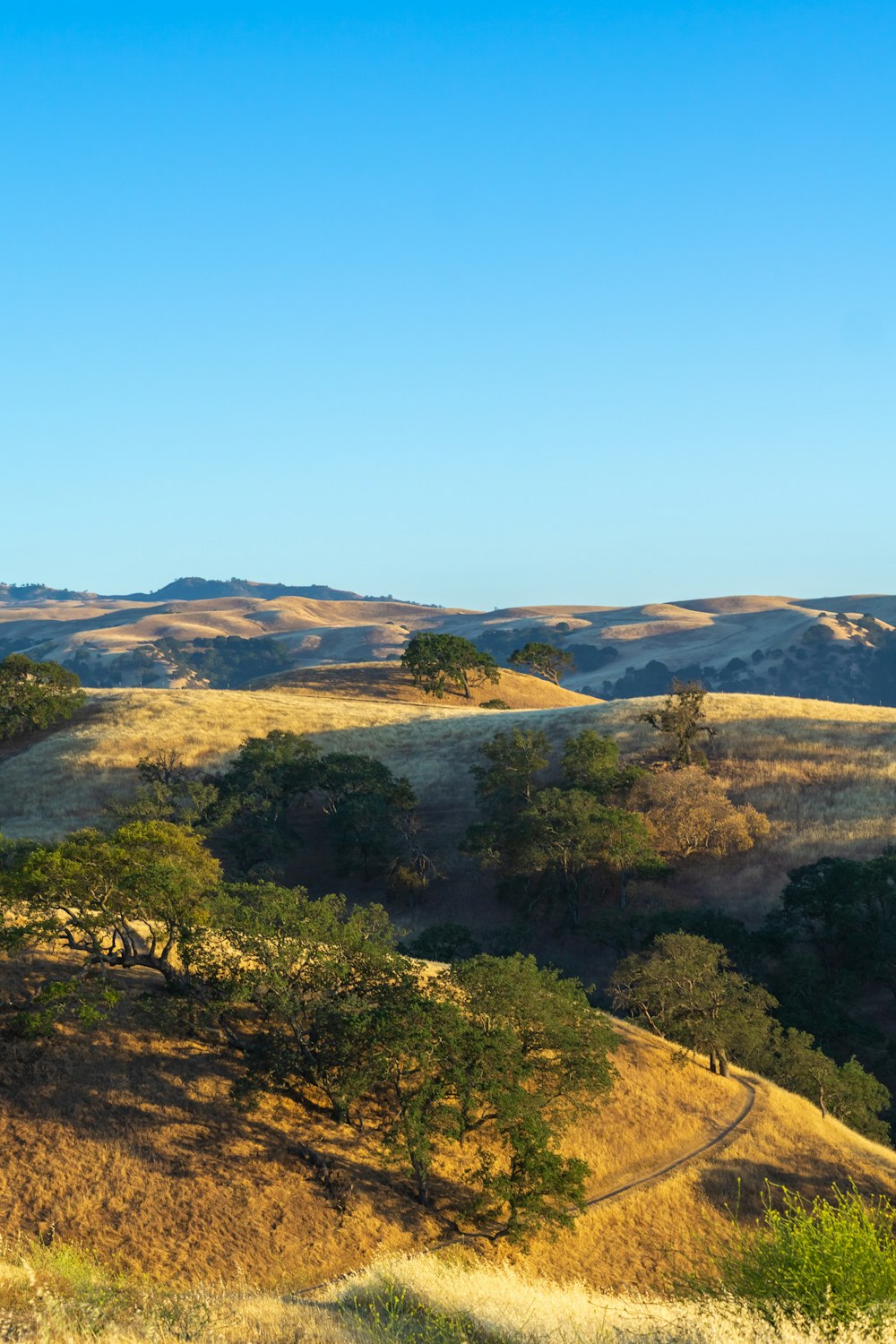 a view of a hilly area with trees and hills in the background