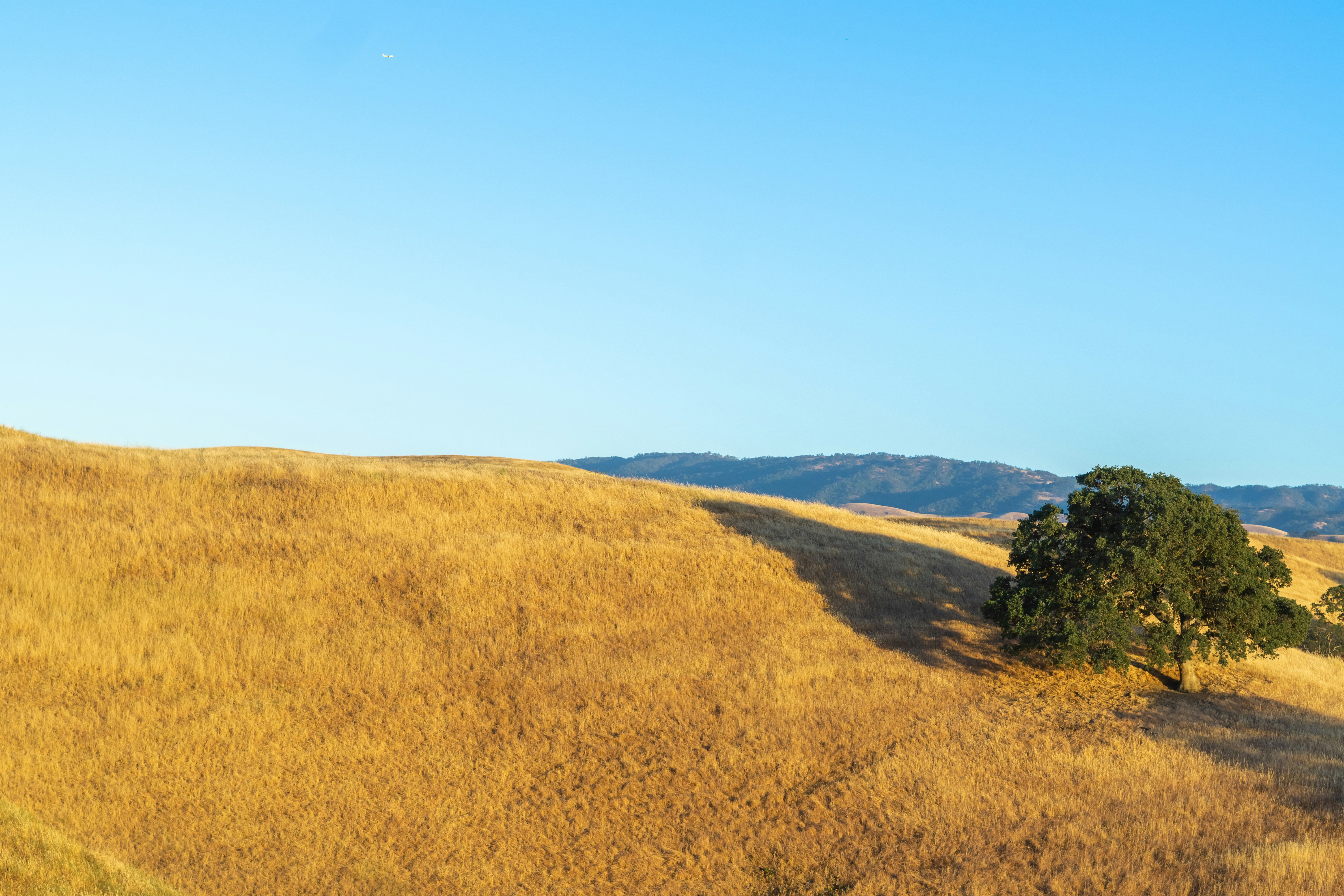 Photo by spencer_demera