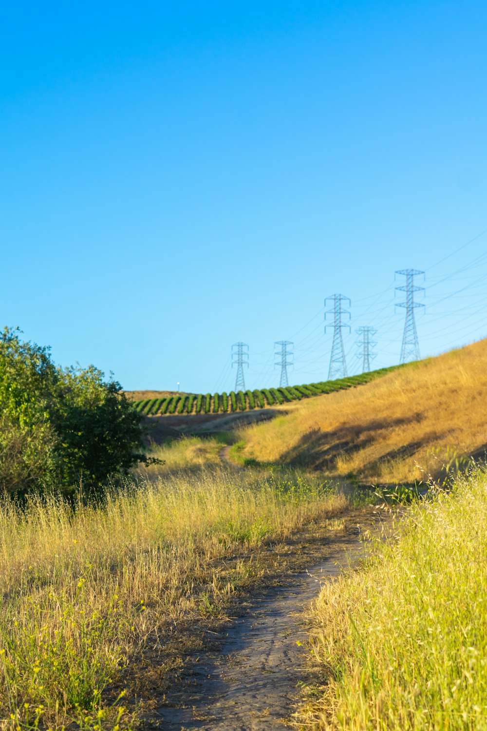 a dirt road in a field with power lines in the background