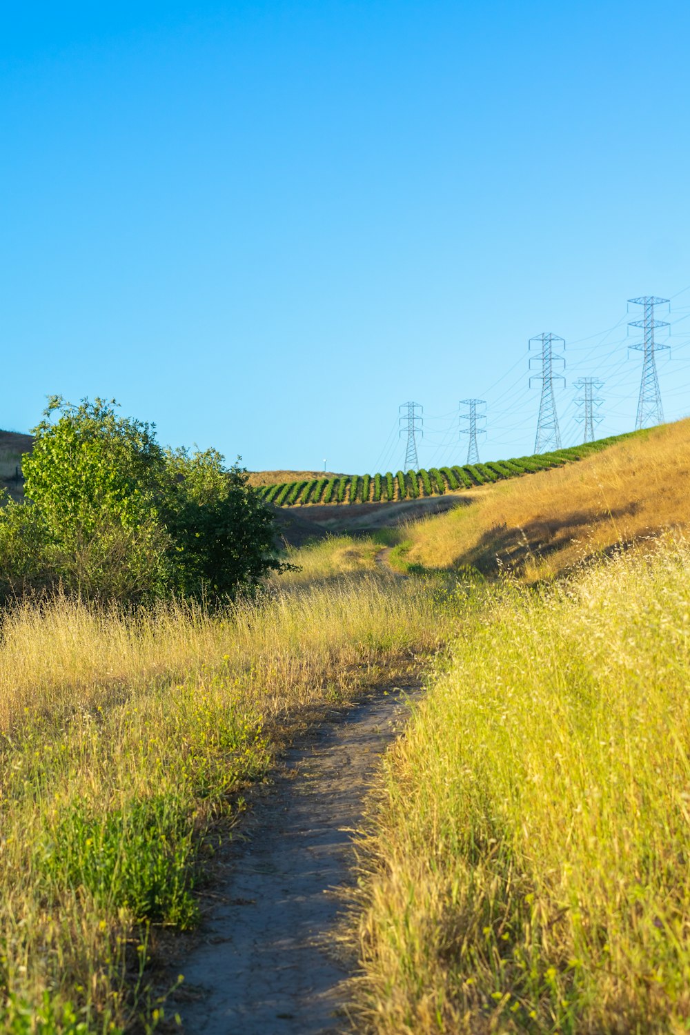 a dirt path in a field with power lines in the background