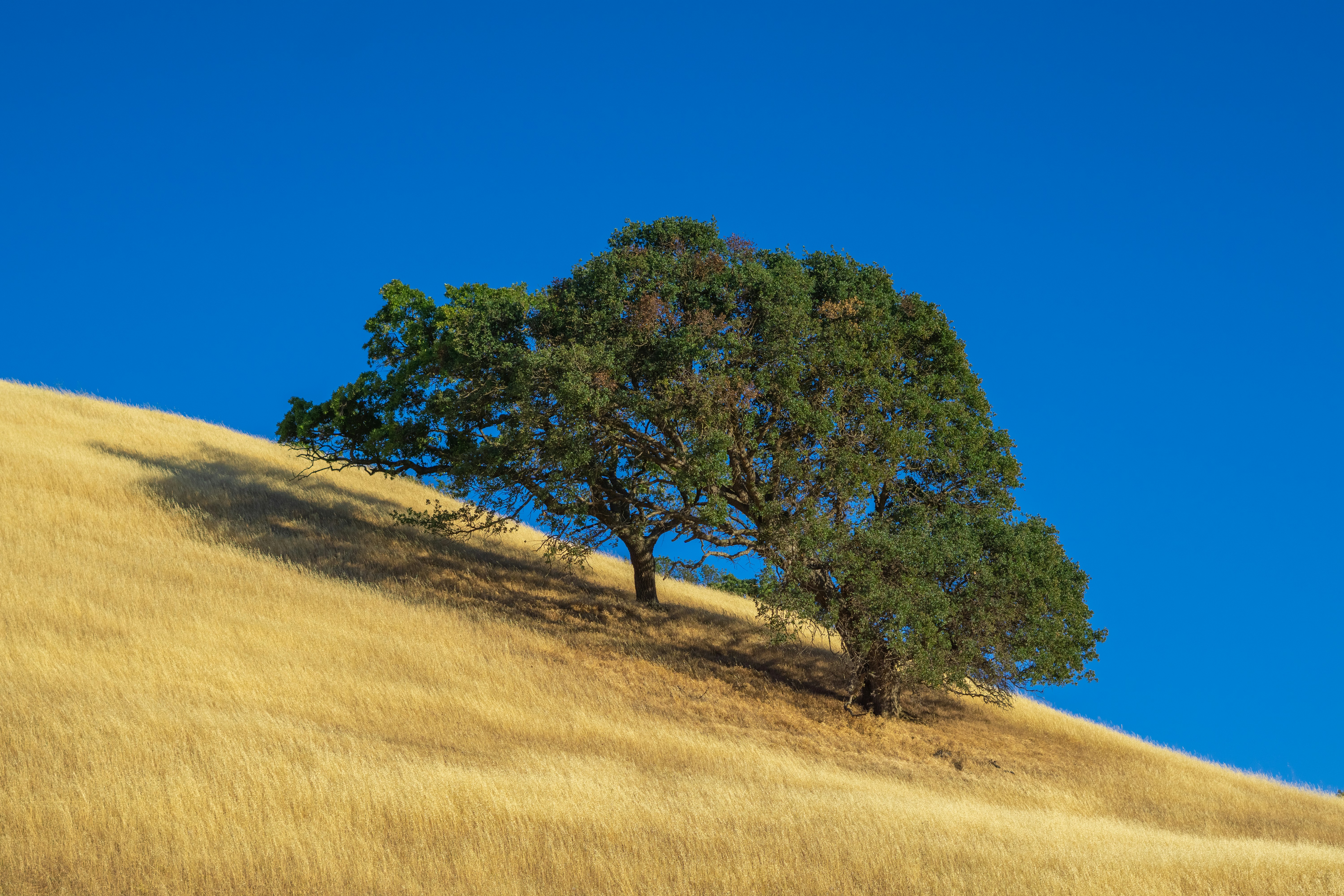 Photo by spencer_demera