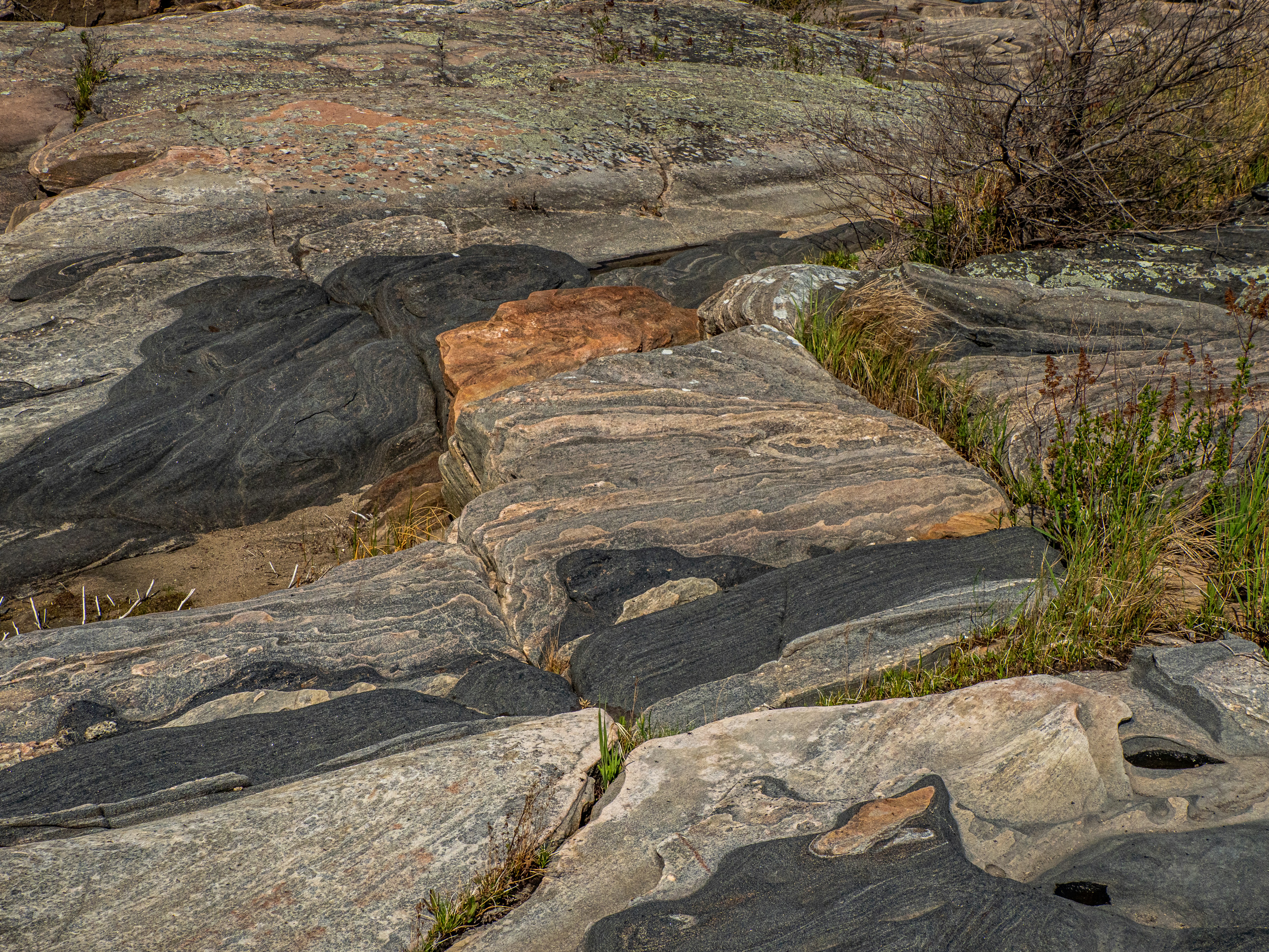 Wolf Creek Natural Area