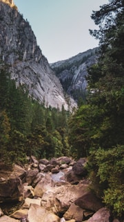 A picturesque landscape featuring a rocky riverbed surrounded by lush greenery. Towering cliffs rise dramatically in the background, and the scene is bathed in soft, natural light. The imagery conveys a sense of tranquility and untouched natural beauty.