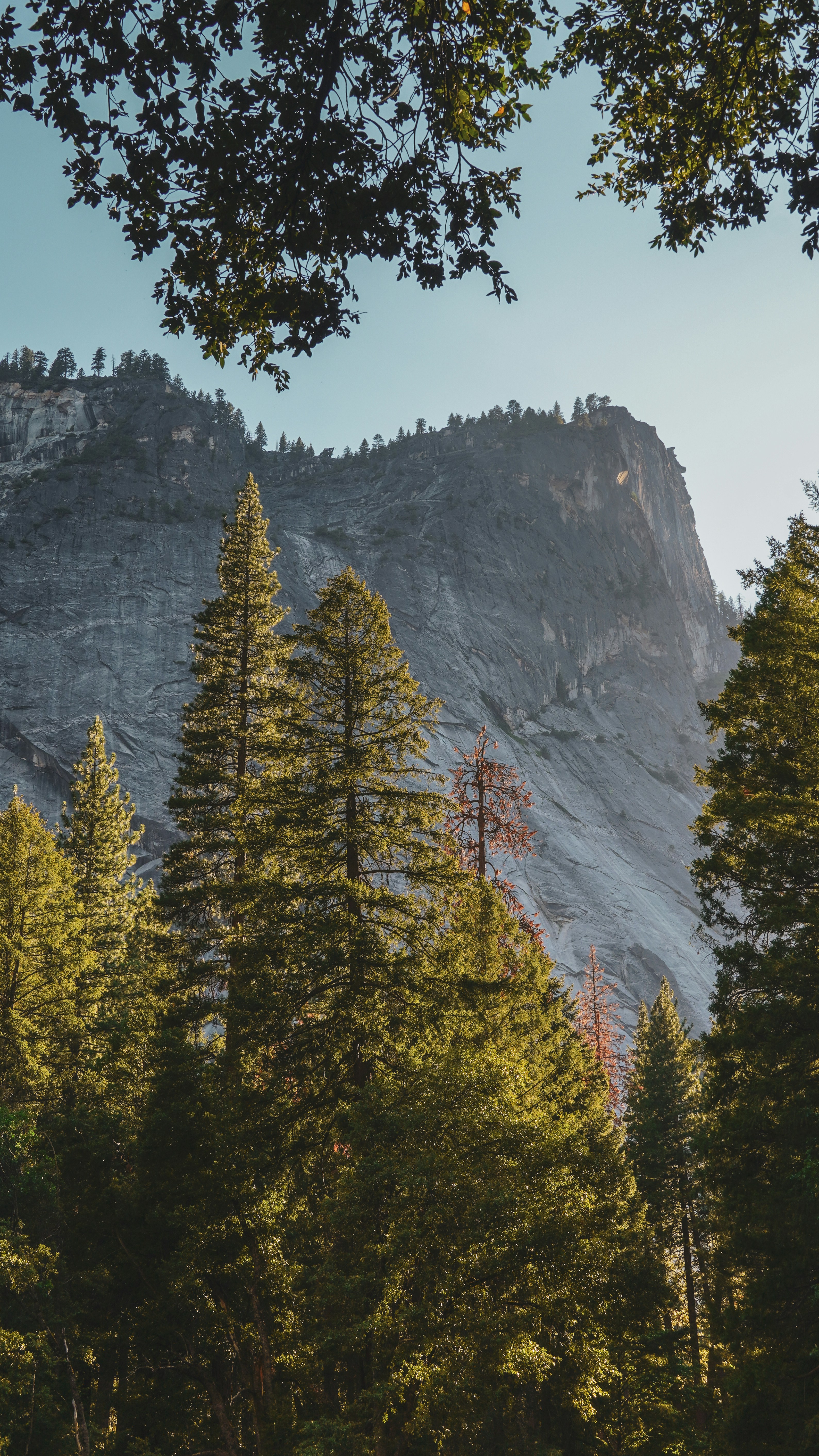 Photo by adrianvalverdem