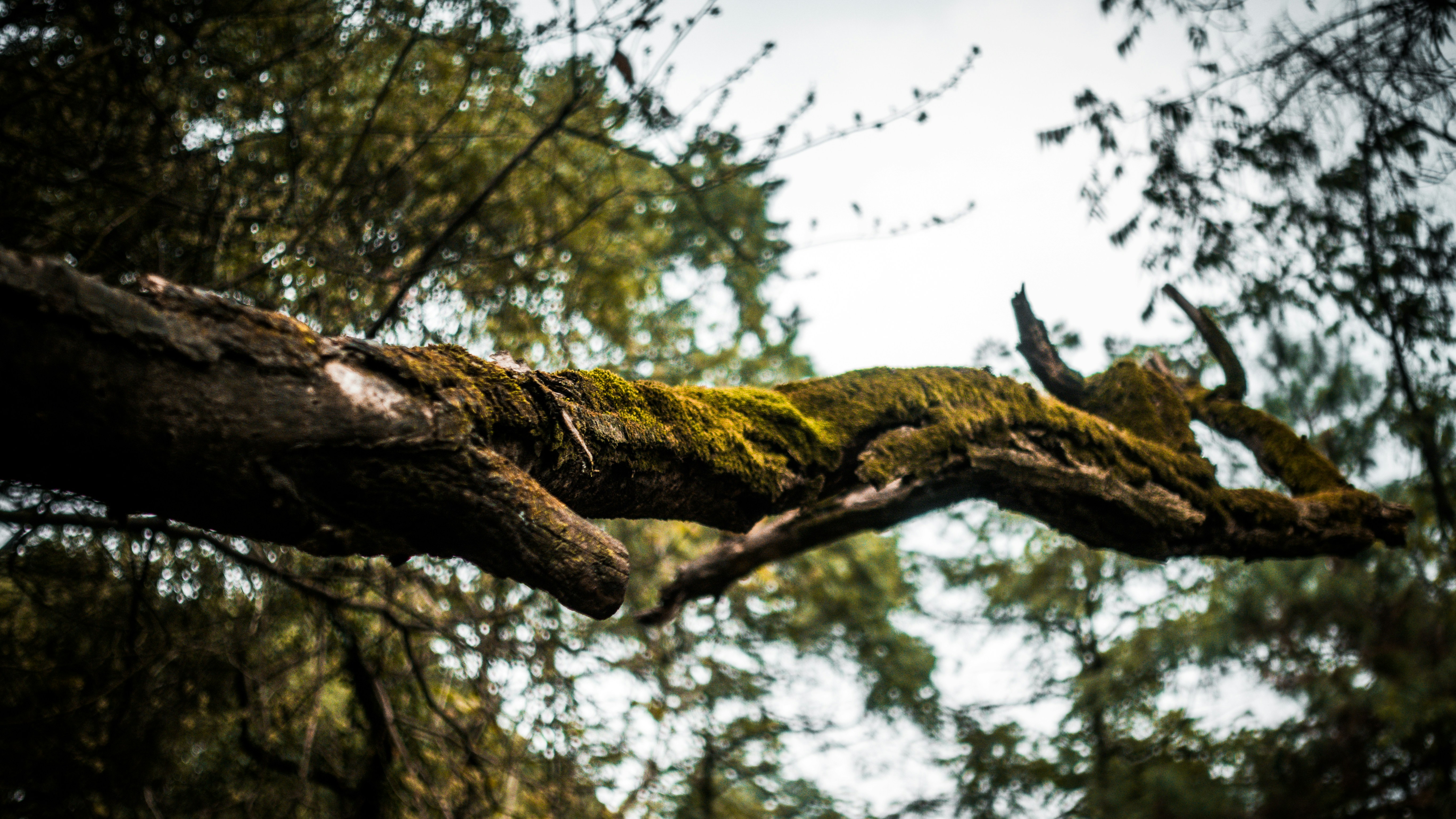 Photo by hypocriteeeee