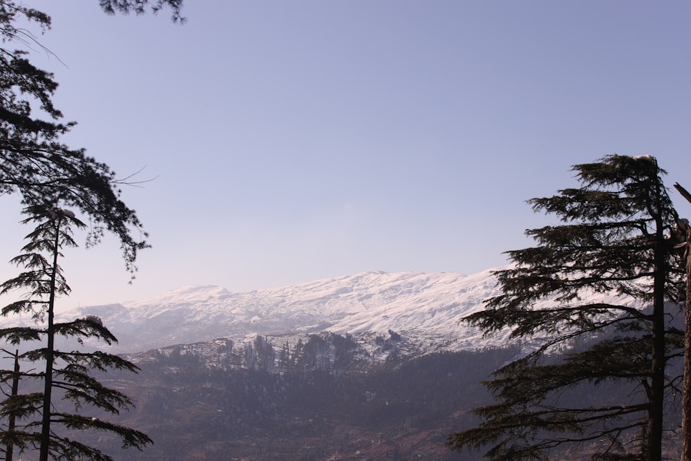 a view of a snow covered mountain from a distance