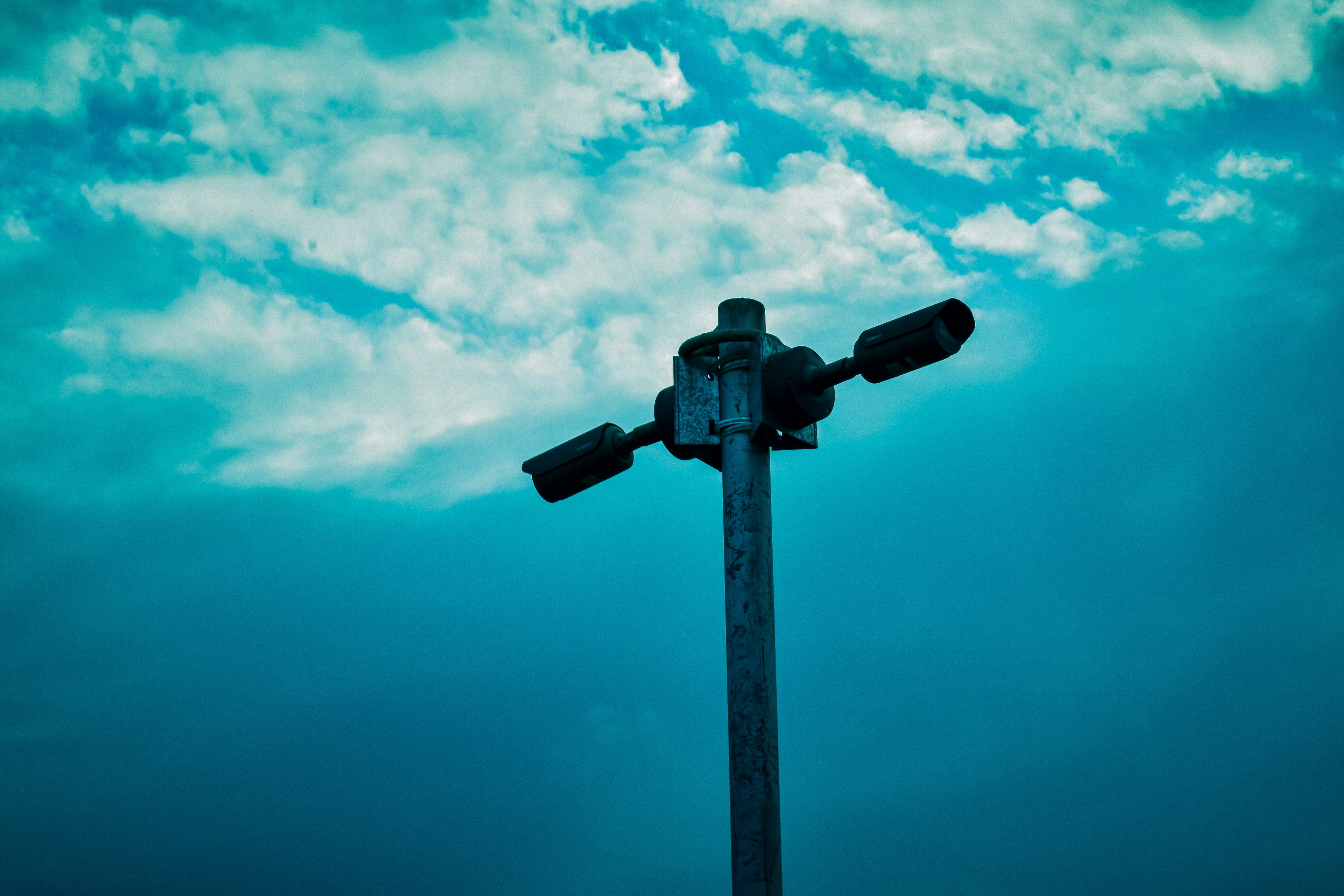 Photo by stevecameup