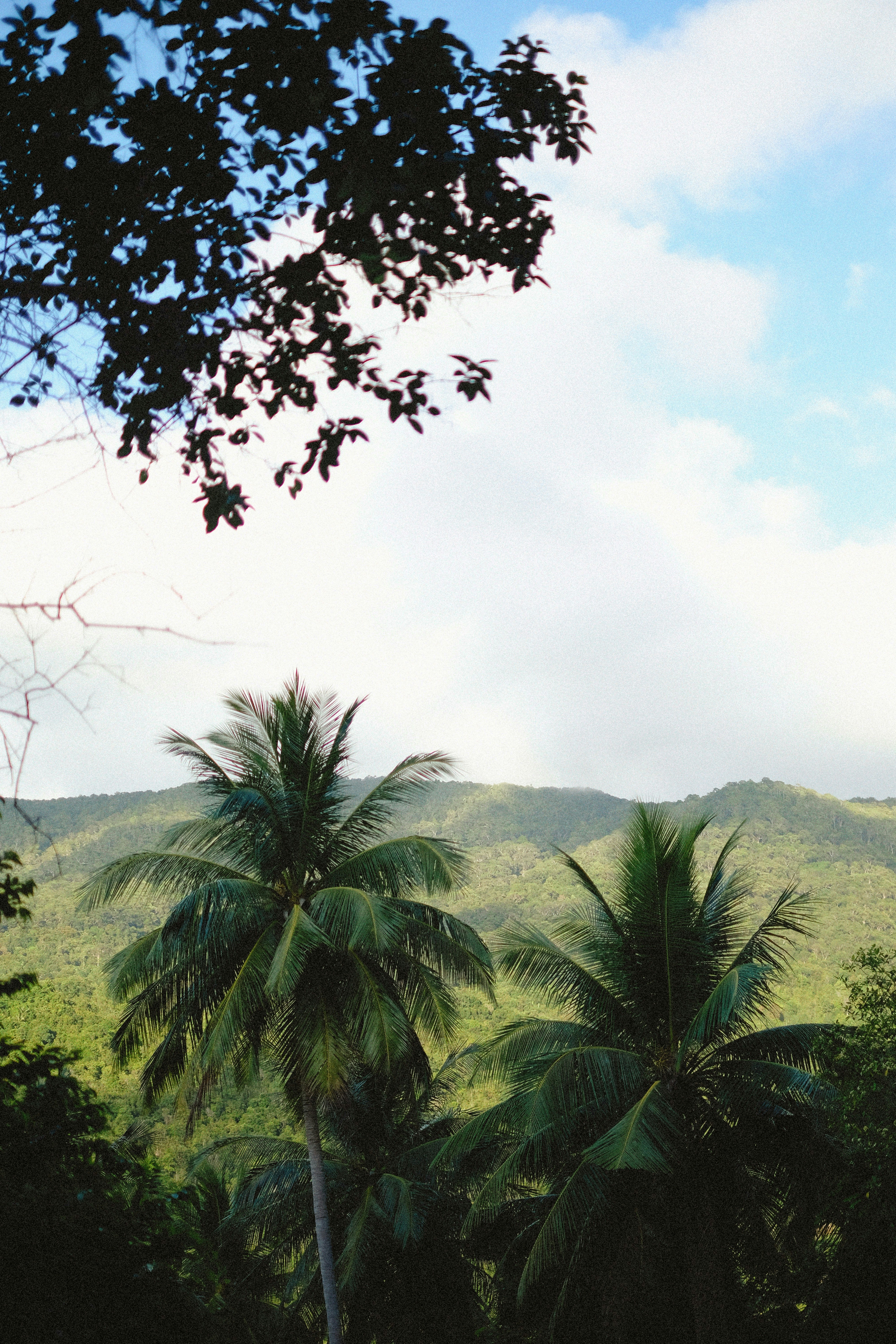 Photo by alexeydemidov