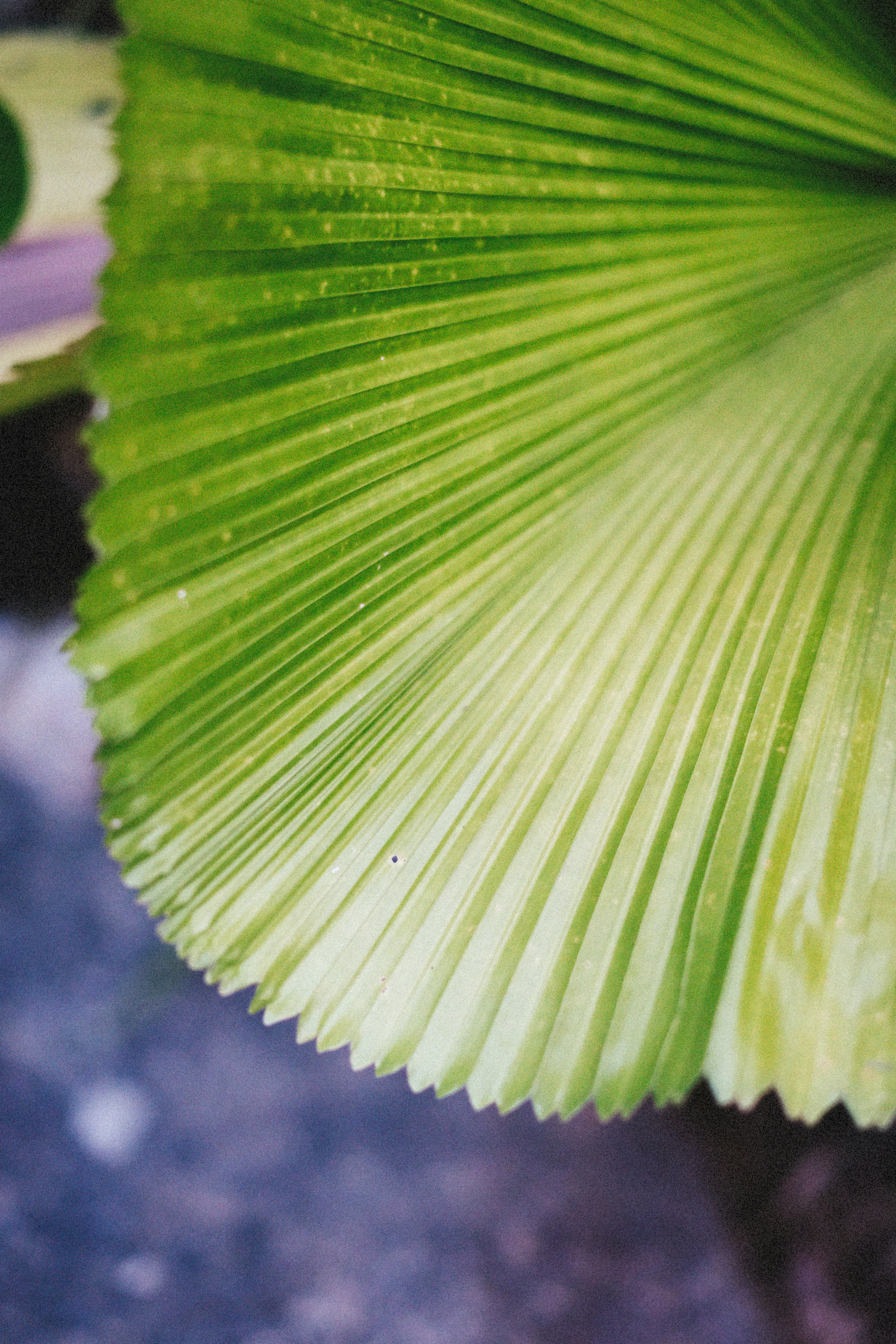 Photo by alexeydemidov