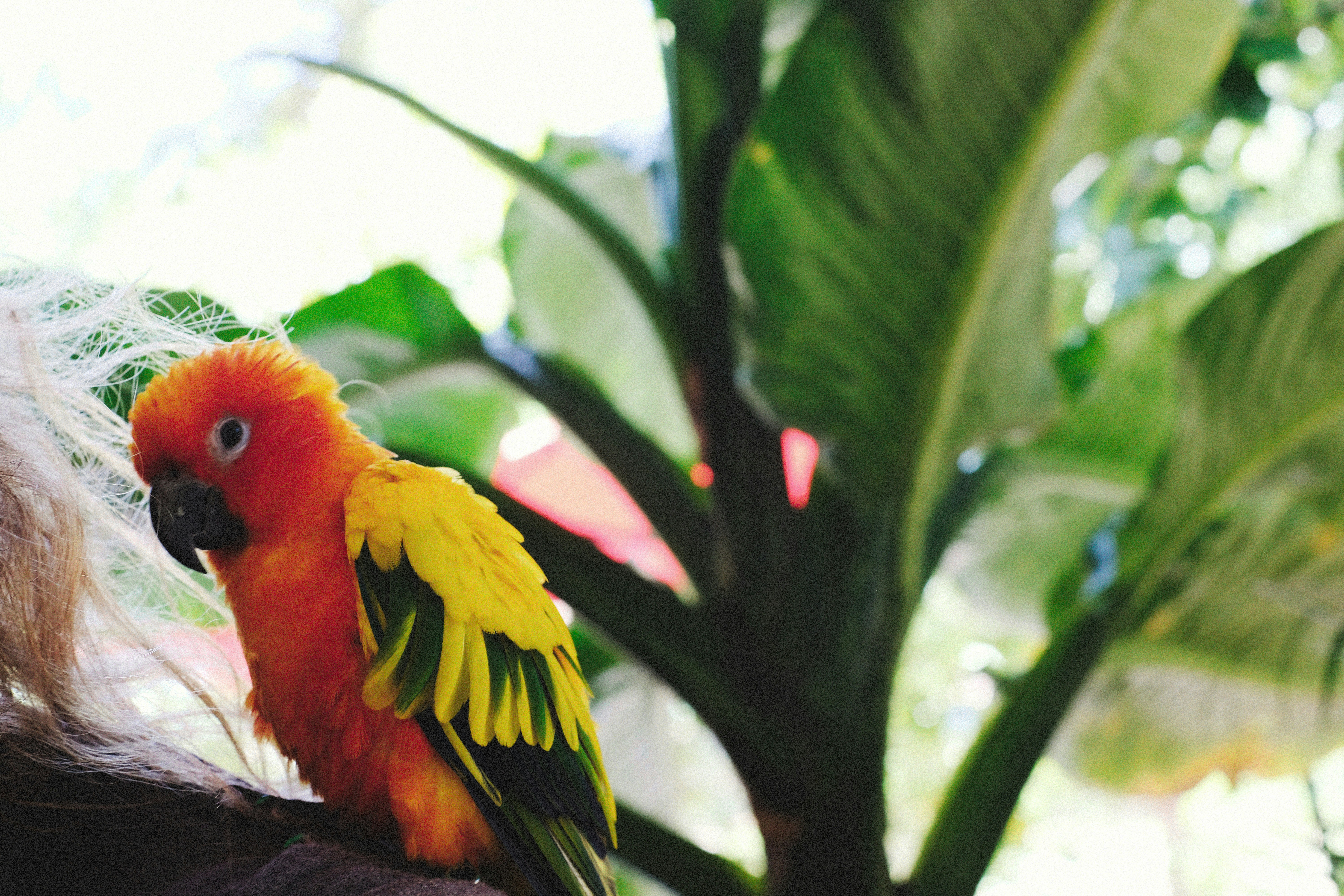 Photo by alexeydemidov