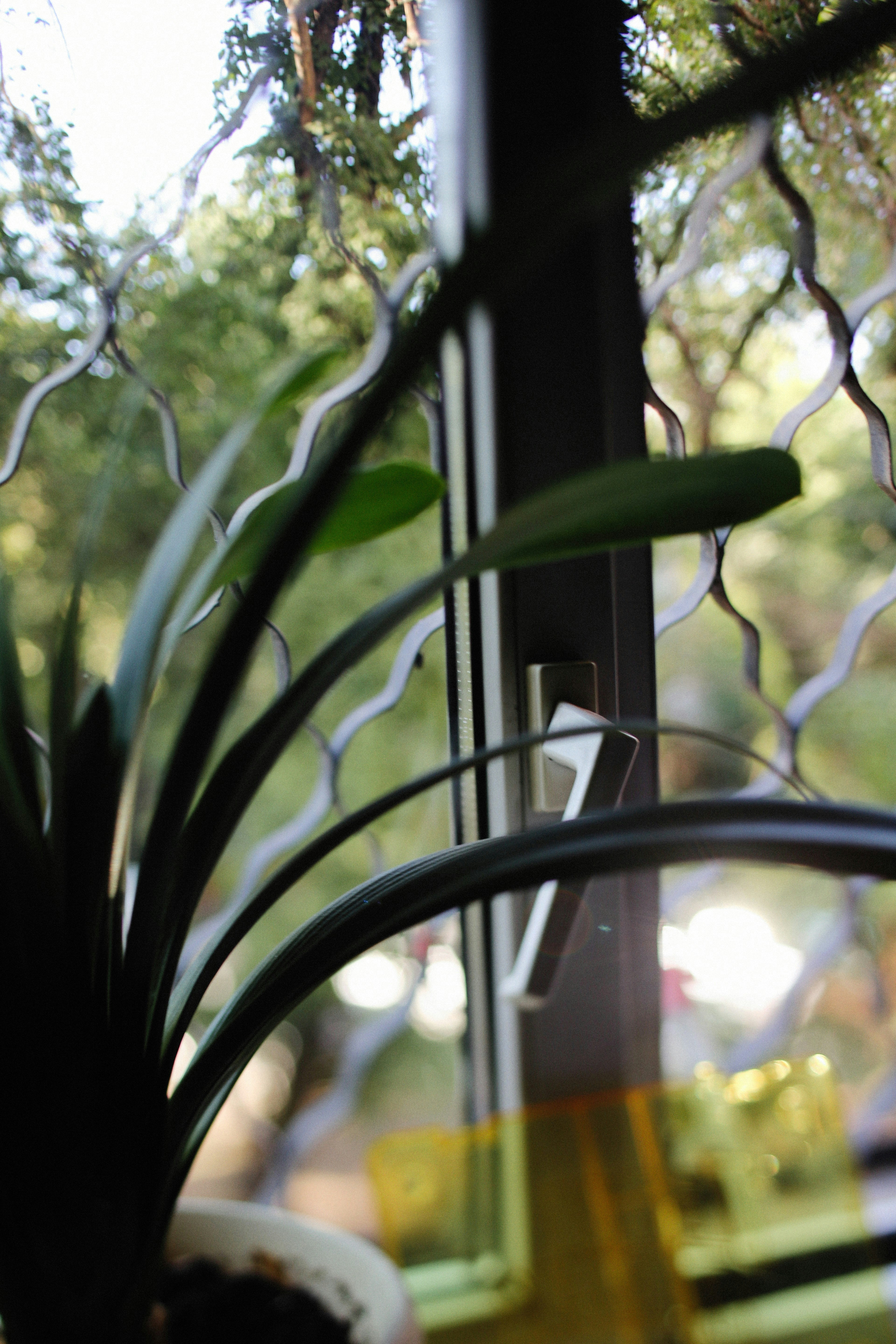 Photo by alexeydemidov