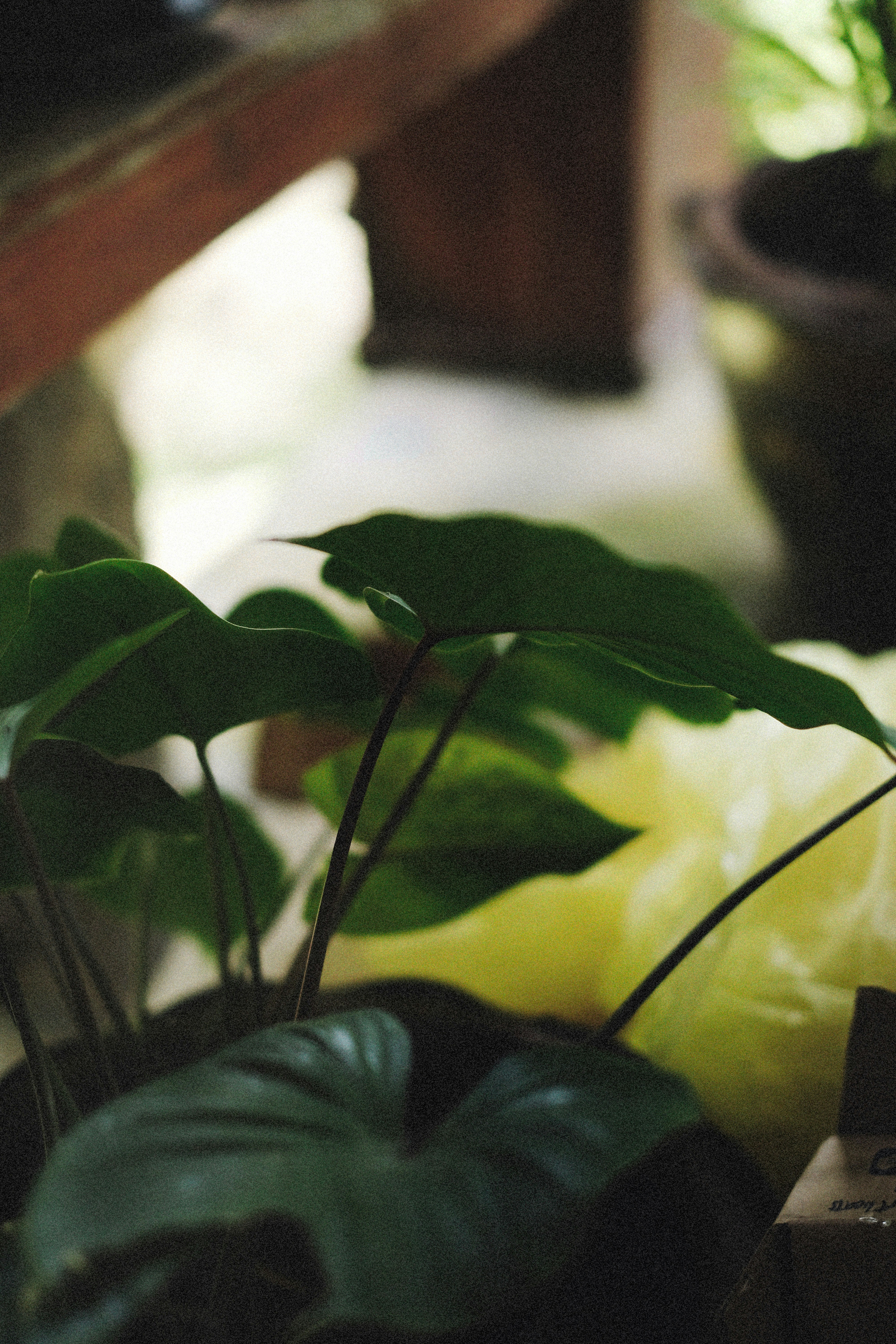 Photo by alexeydemidov