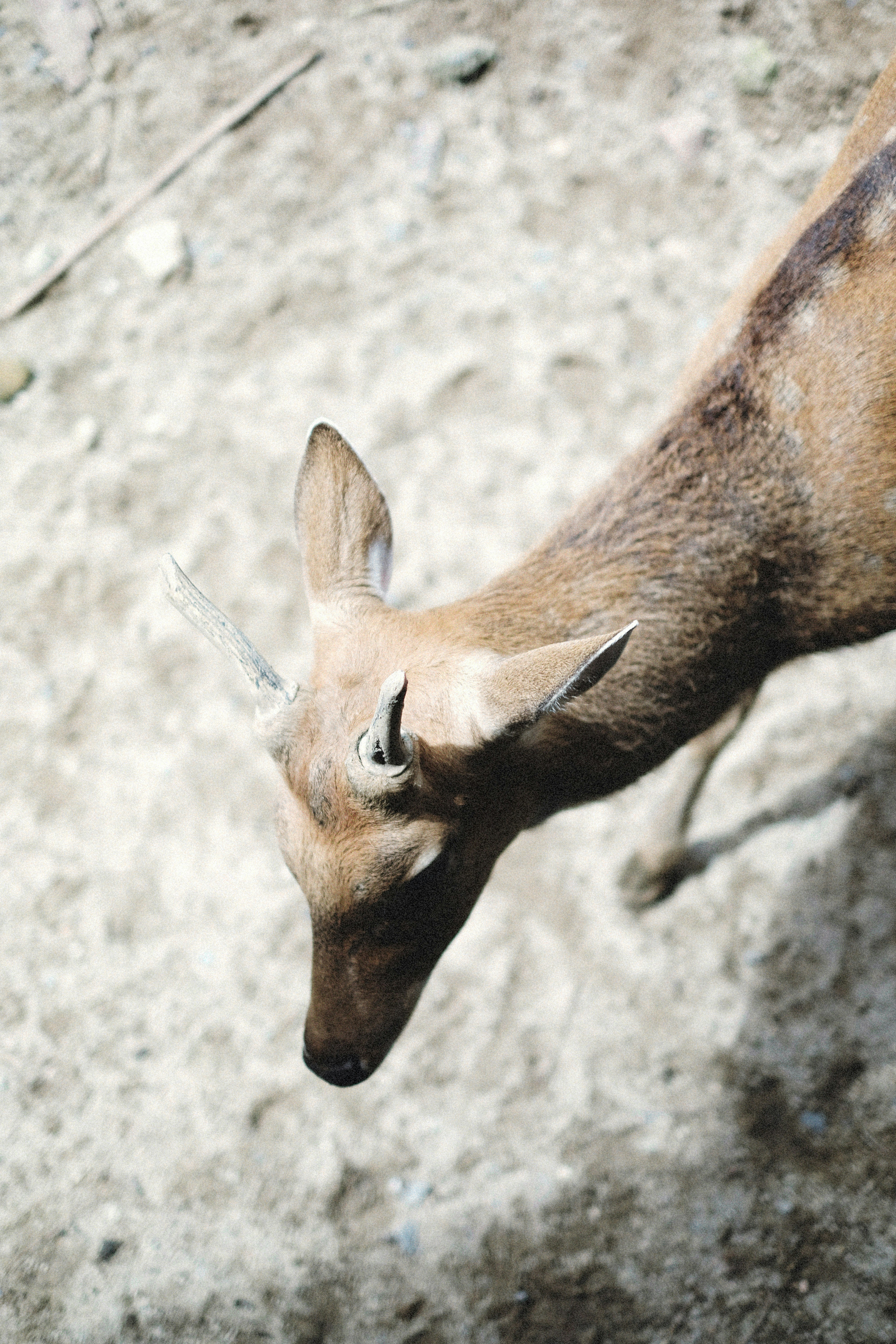 Photo by alexeydemidov