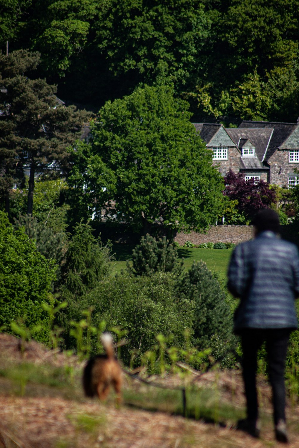 a person walking a dog on a path in front of a house