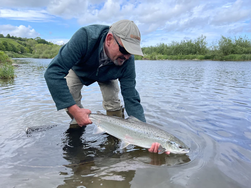 An angler holding a fish at the waterline