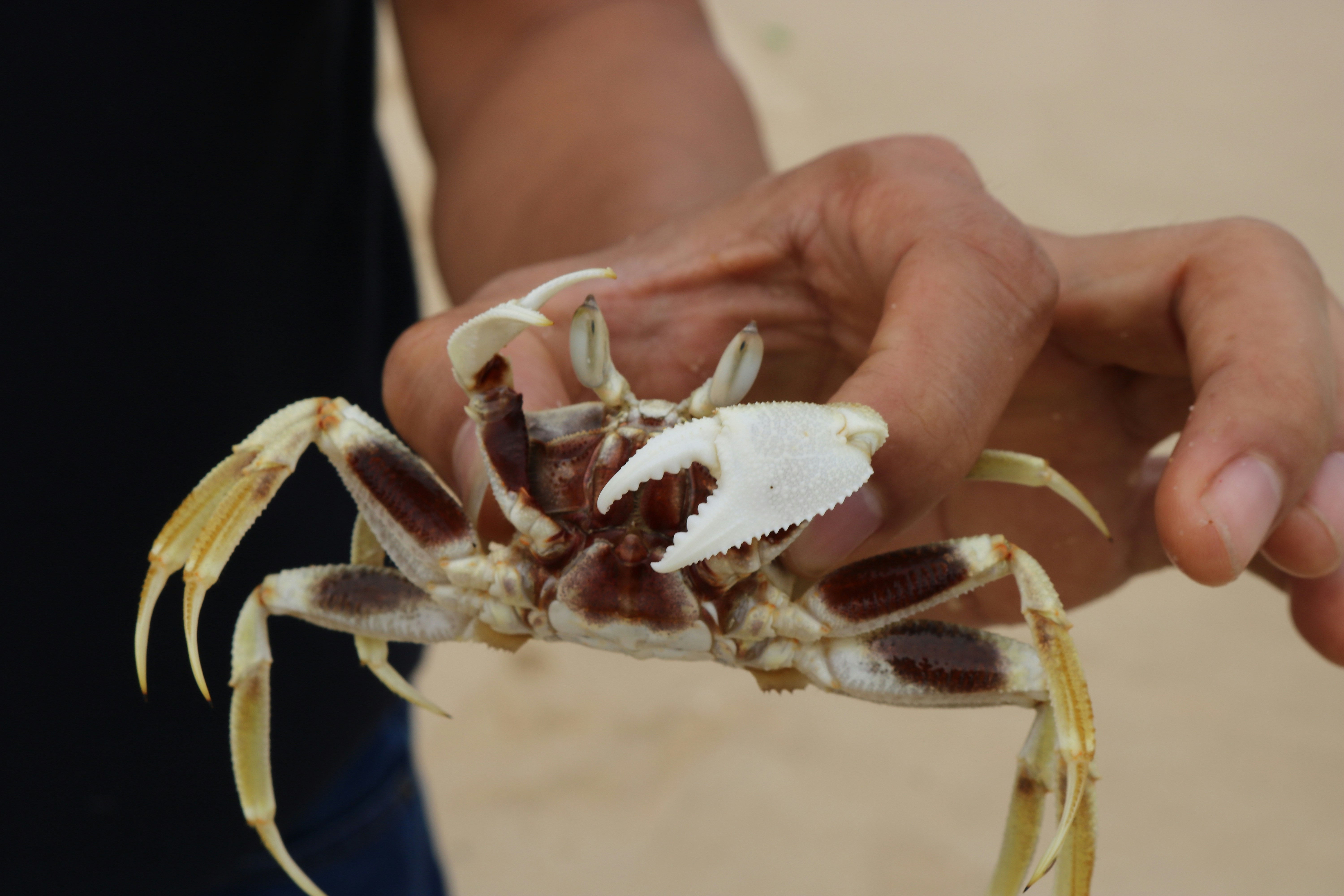 Photo by phuonganh1199