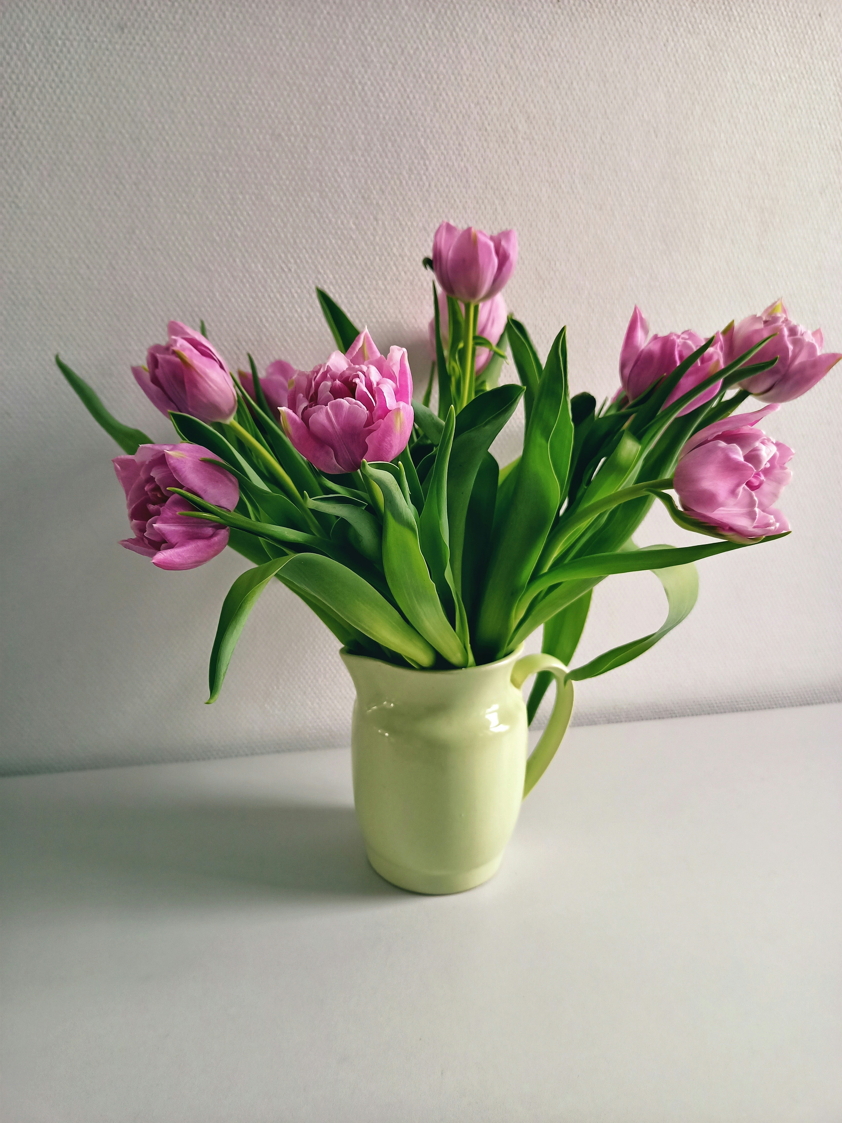 Photo by kalynychenko