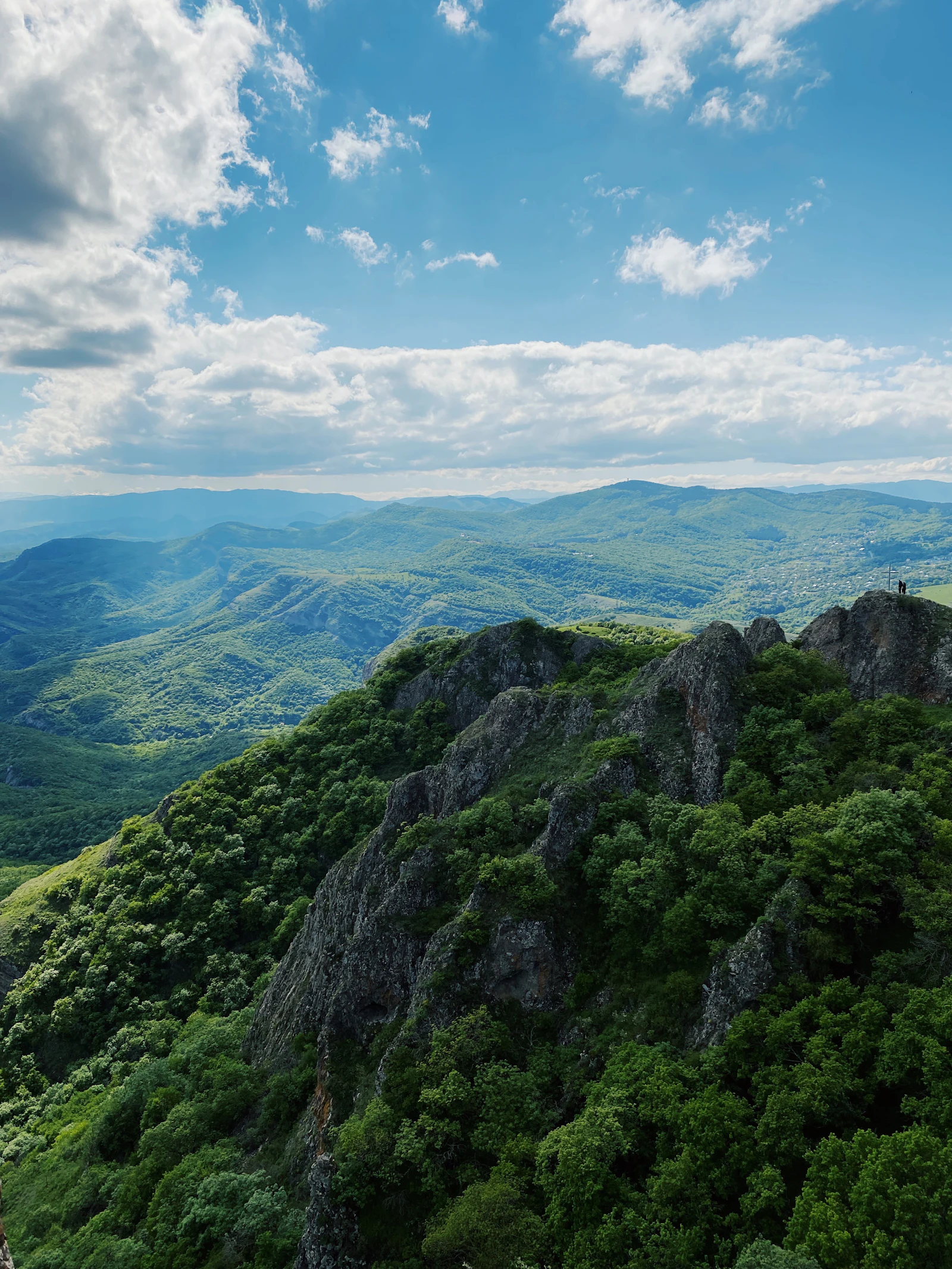 A forested ridge seen from a high overlook.
