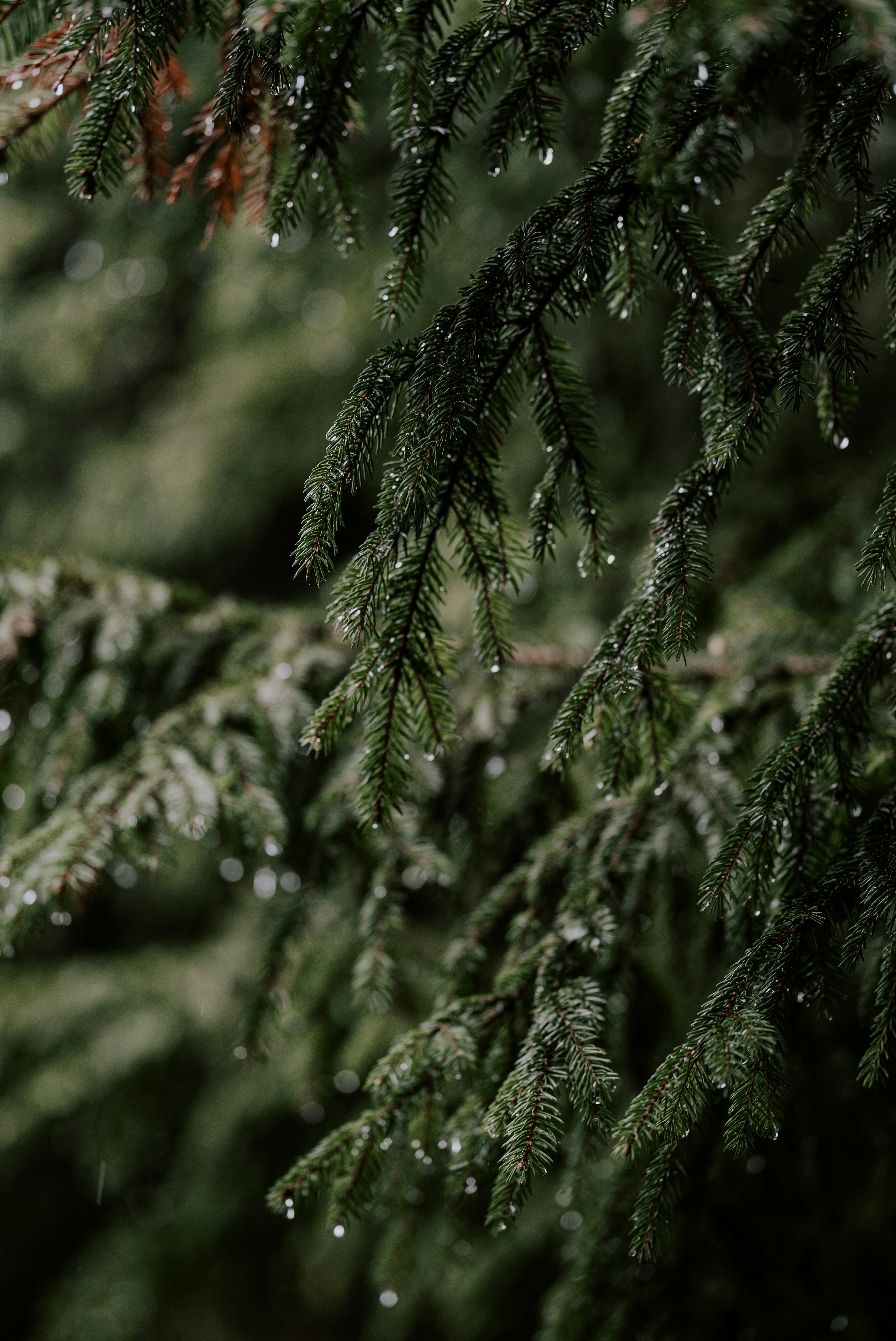 Photo by kekse_und_ich