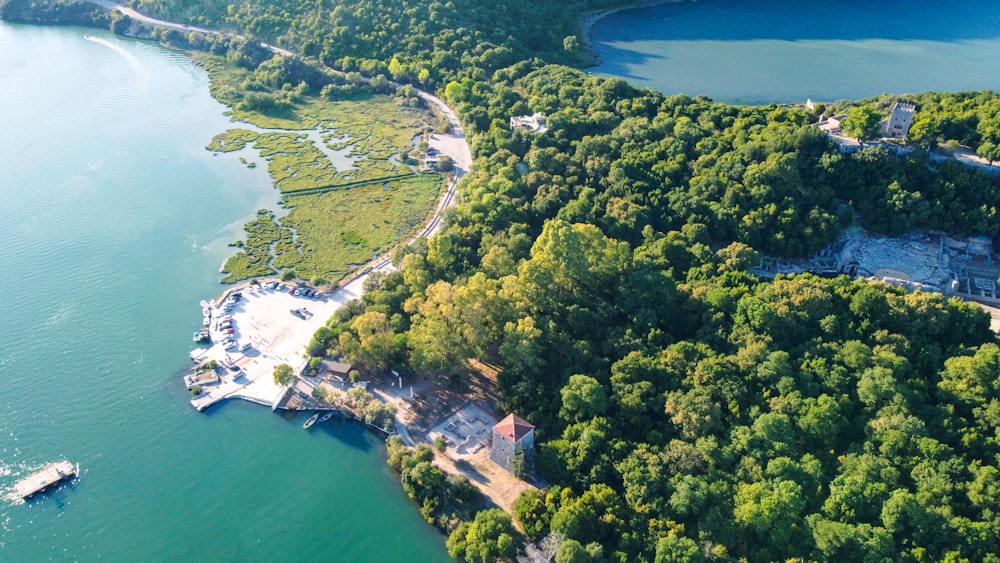 a large body of water surrounded by trees