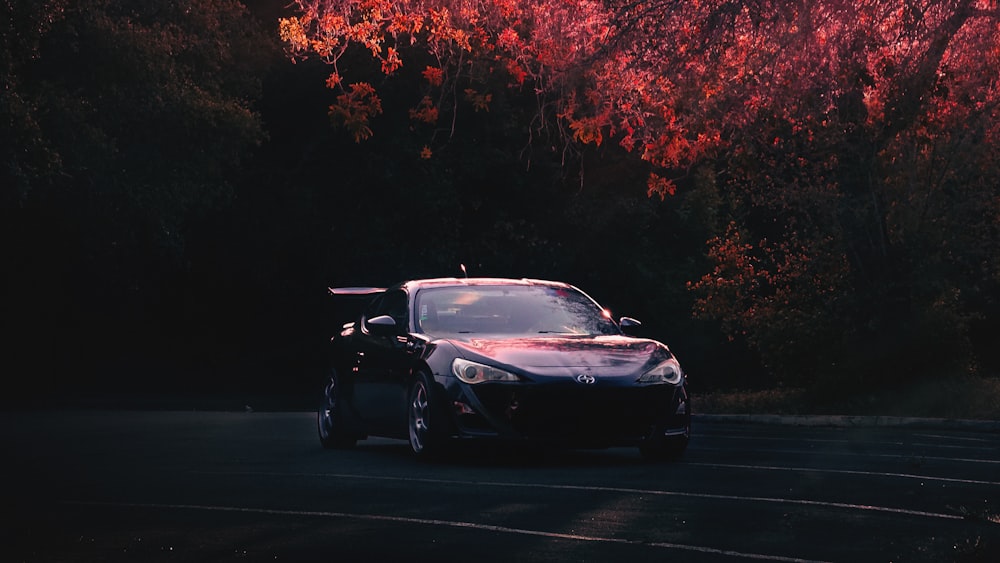 a car driving down a road next to a forest