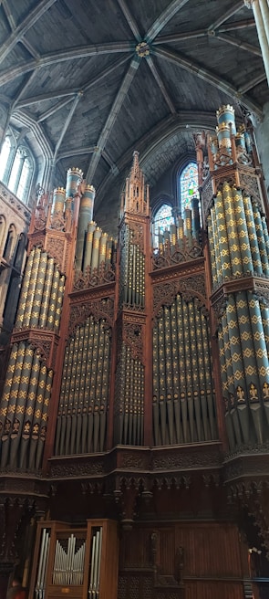 A grand and elaborate pipe organ positioned against a towering stone wall inside a cathedral. The organ features ornate wood carvings and multiple rows of pipes adorned with decorative patterns. Sunlight filters through a stained glass window above, casting colorful reflections onto the organ.