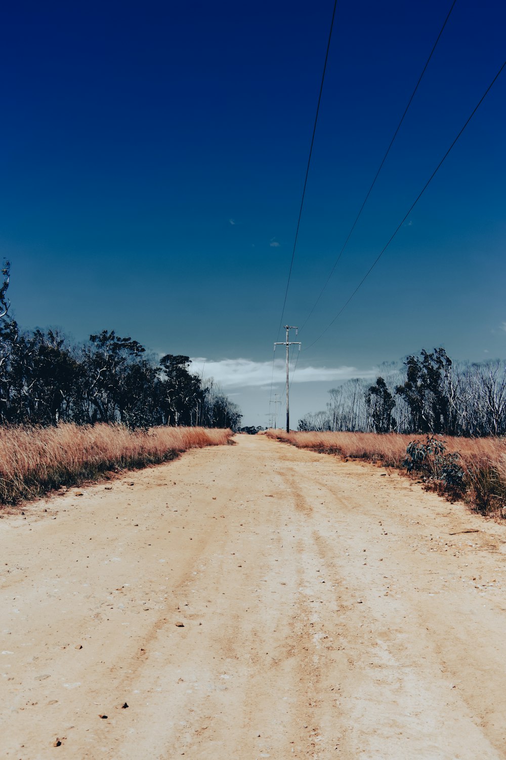 a dirt road with power lines above it