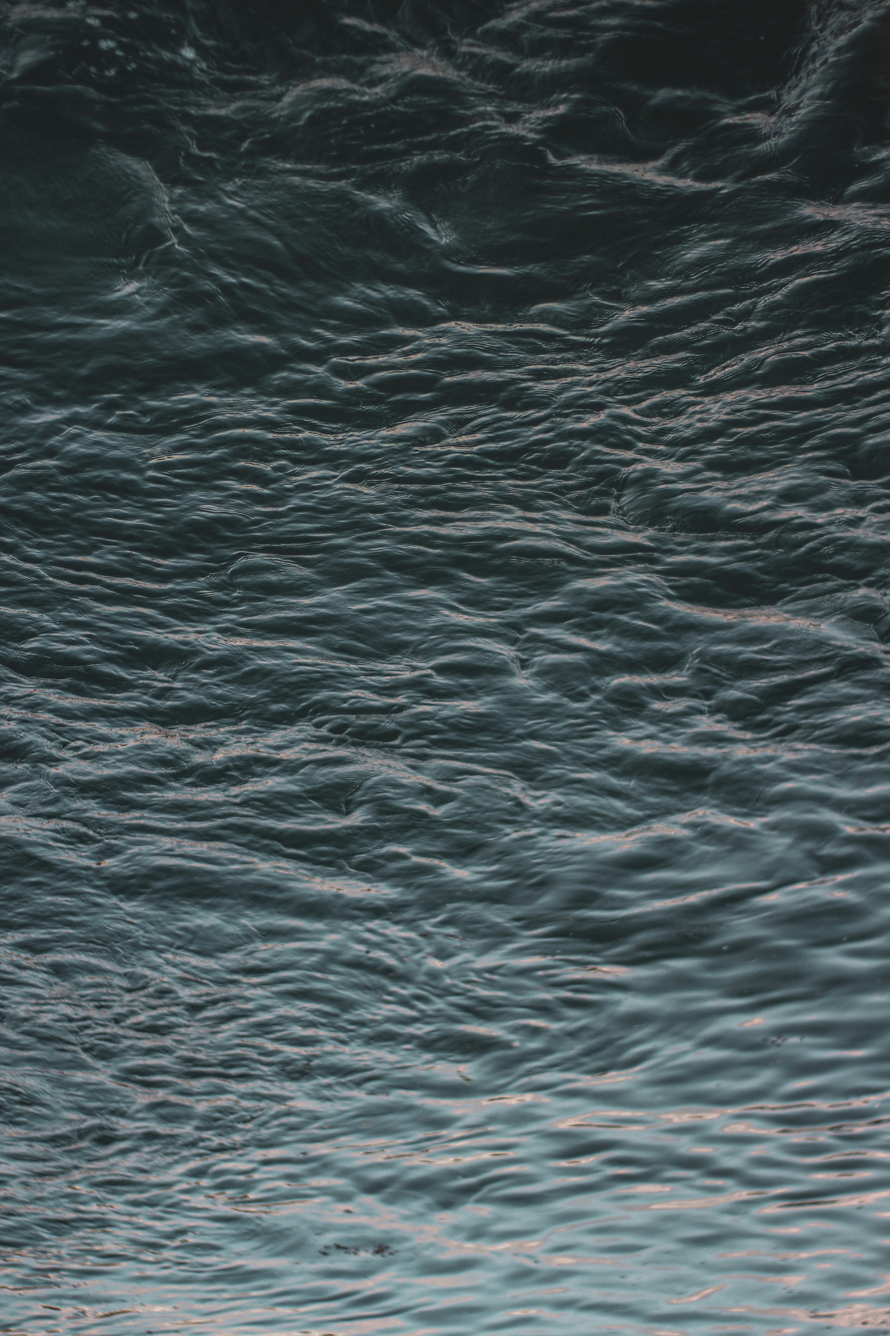 Photo by secondsight