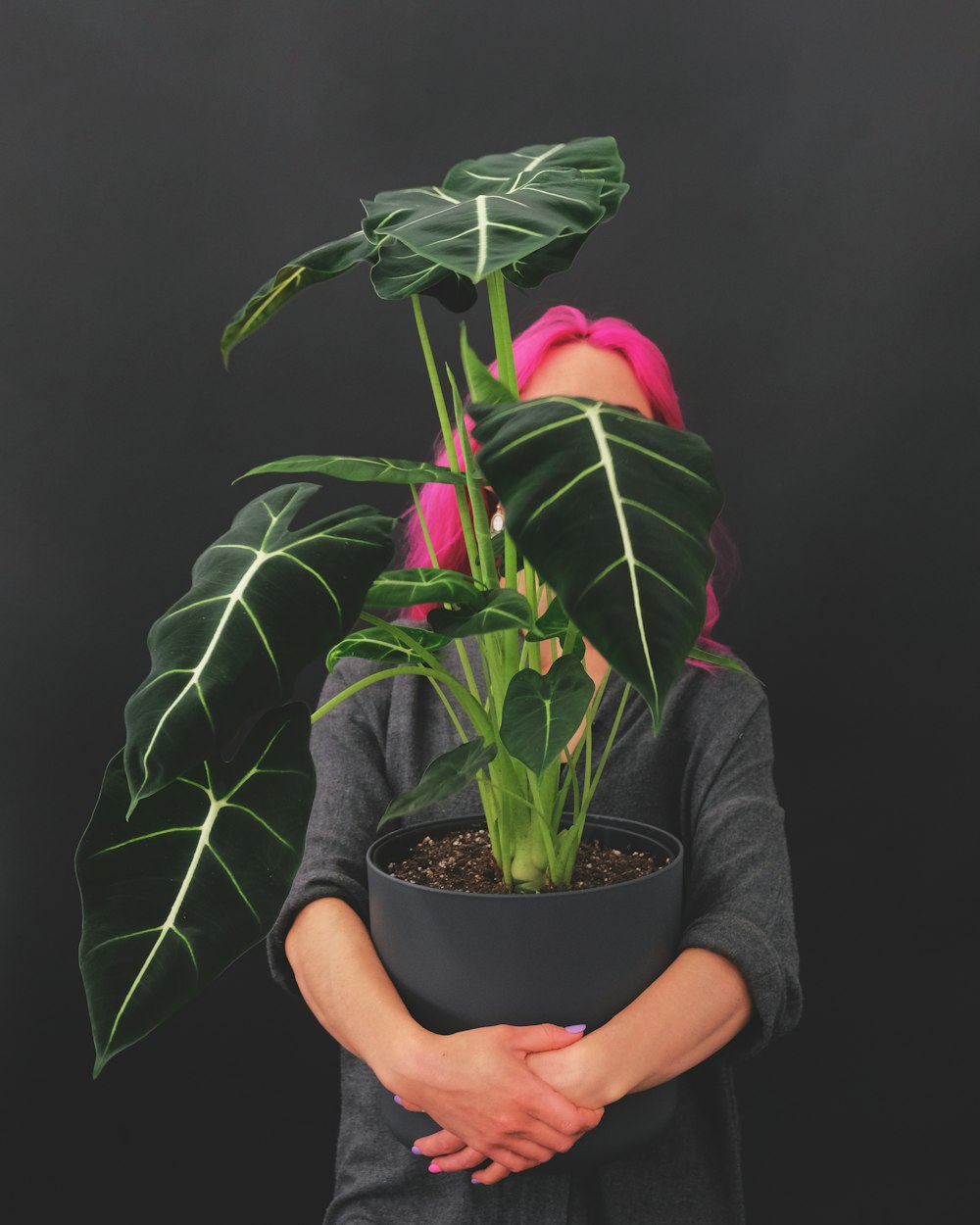 a woman holding a potted plant in her hands