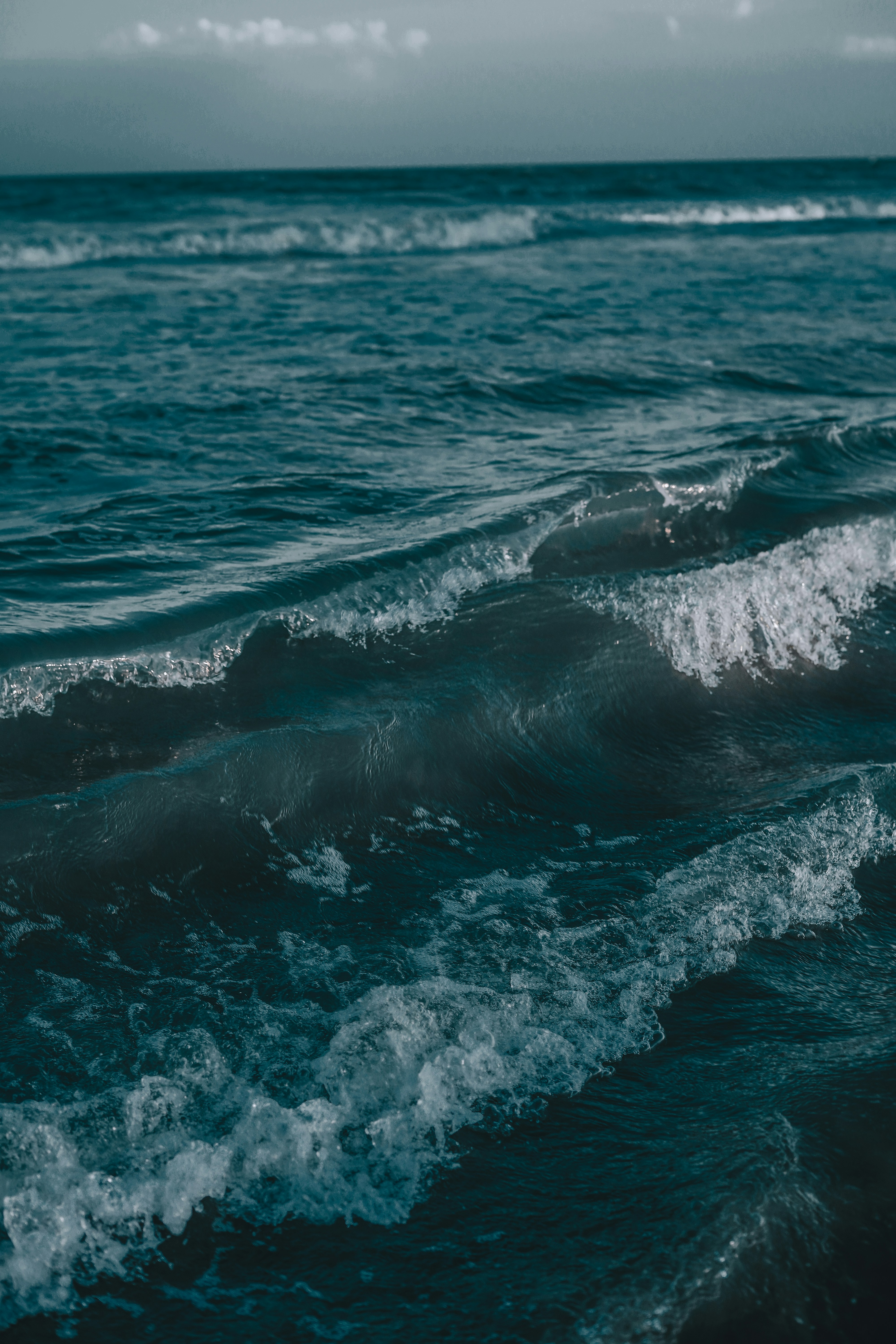 Photo by monishaselv