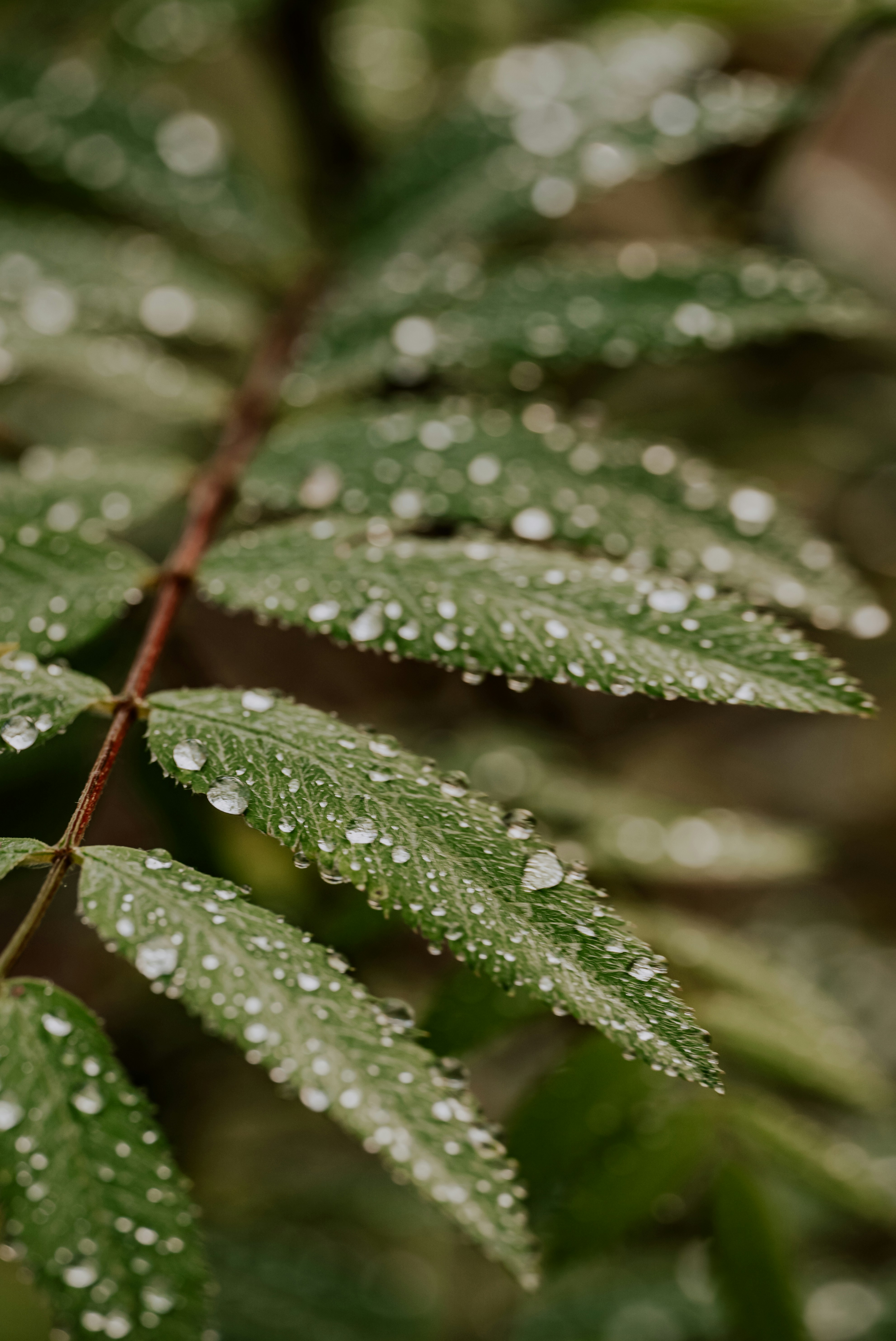 Photo by kekse_und_ich