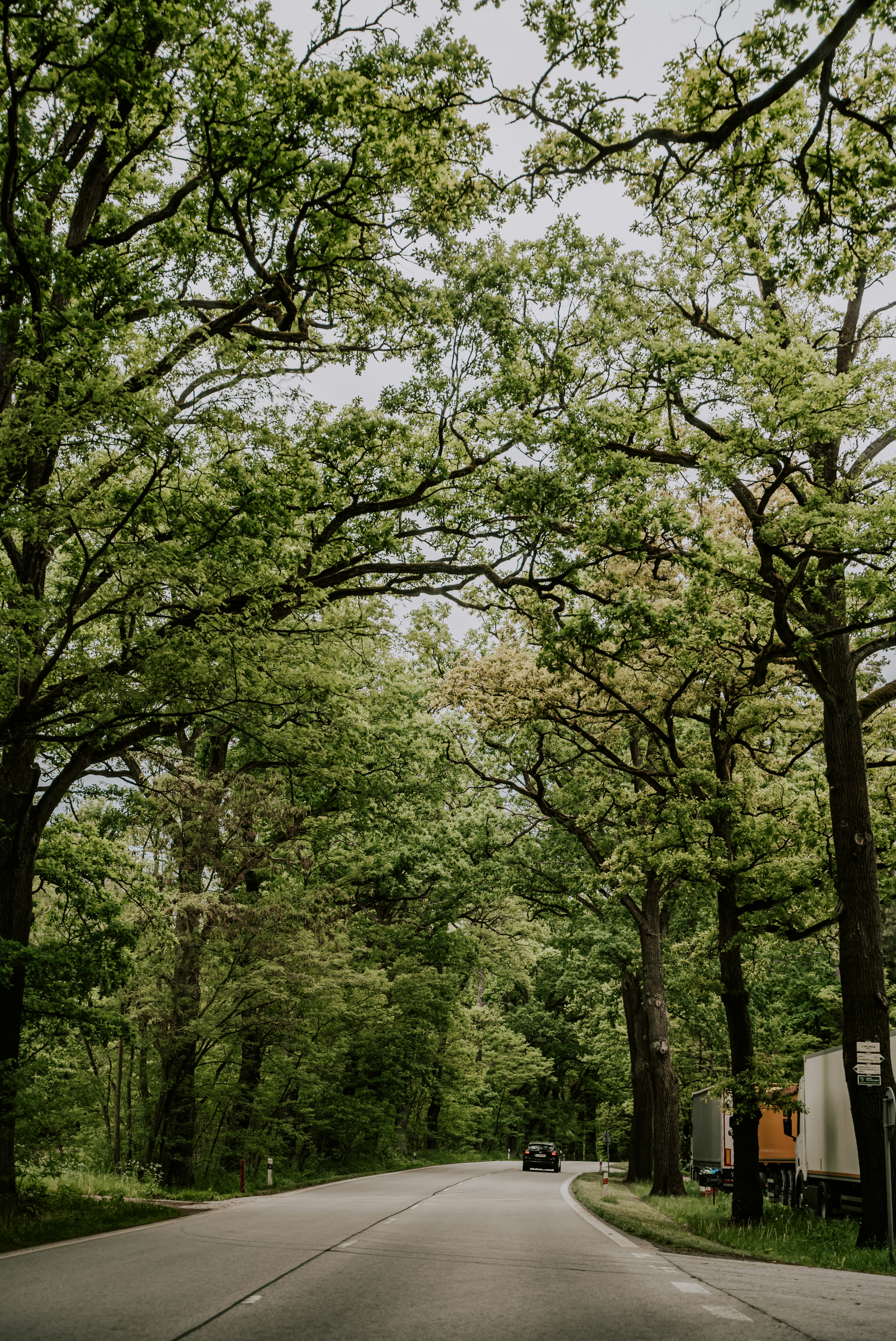 Photo by kekse_und_ich