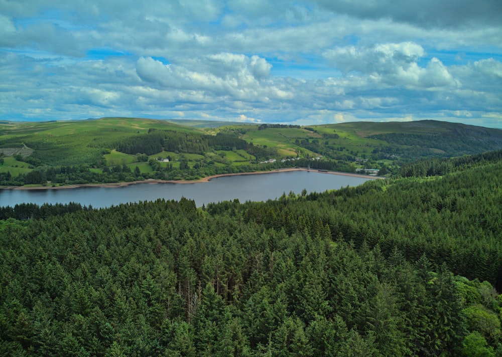 a large body of water surrounded by trees