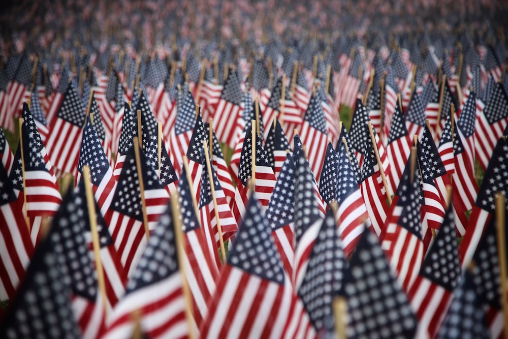 a field full of american flags with a sky background