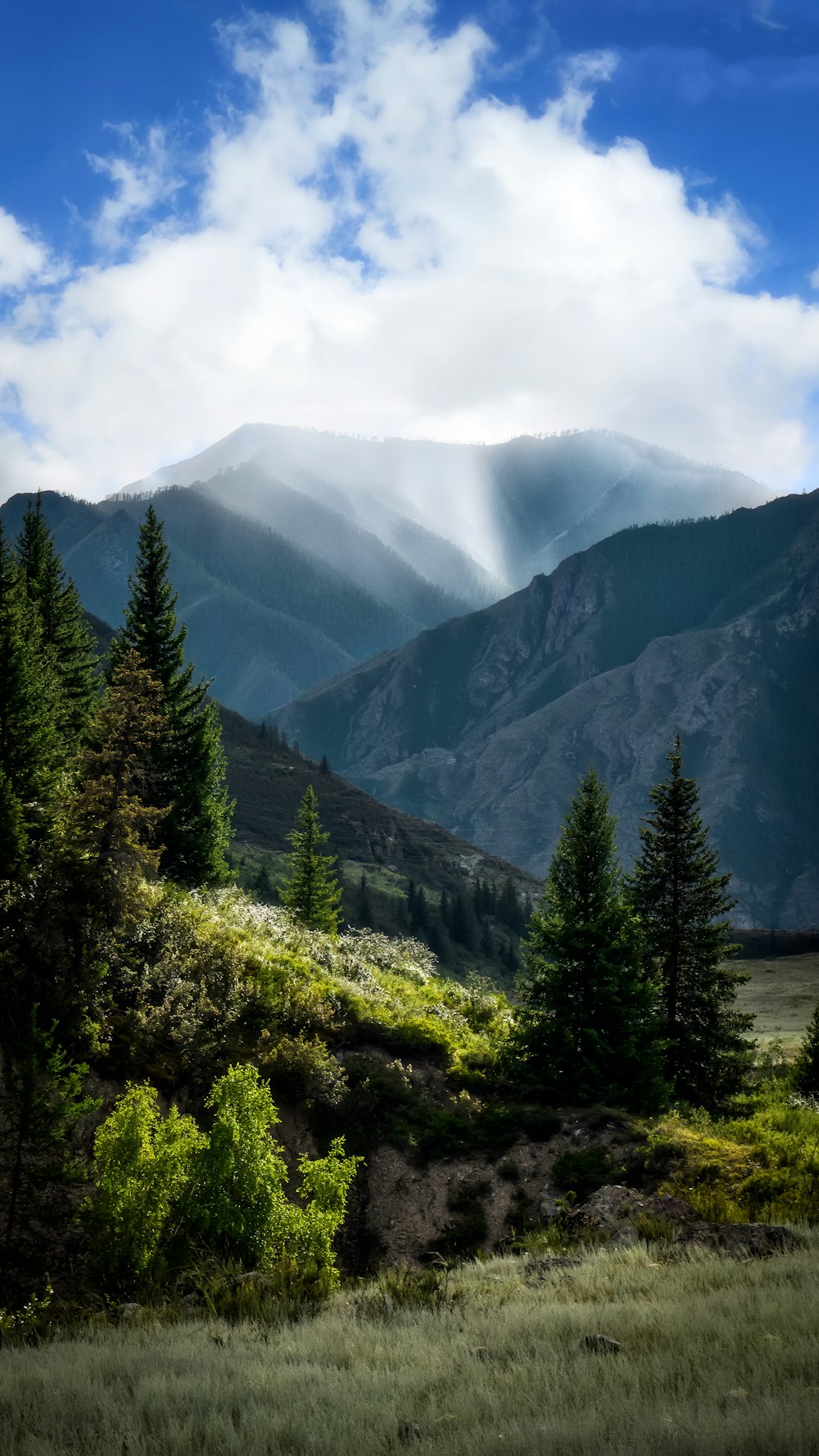 a scenic view of a mountain range with trees in the foreground