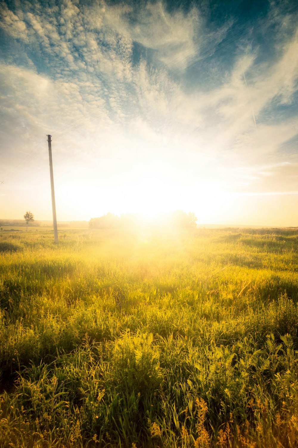 a field with a telephone pole in the distance