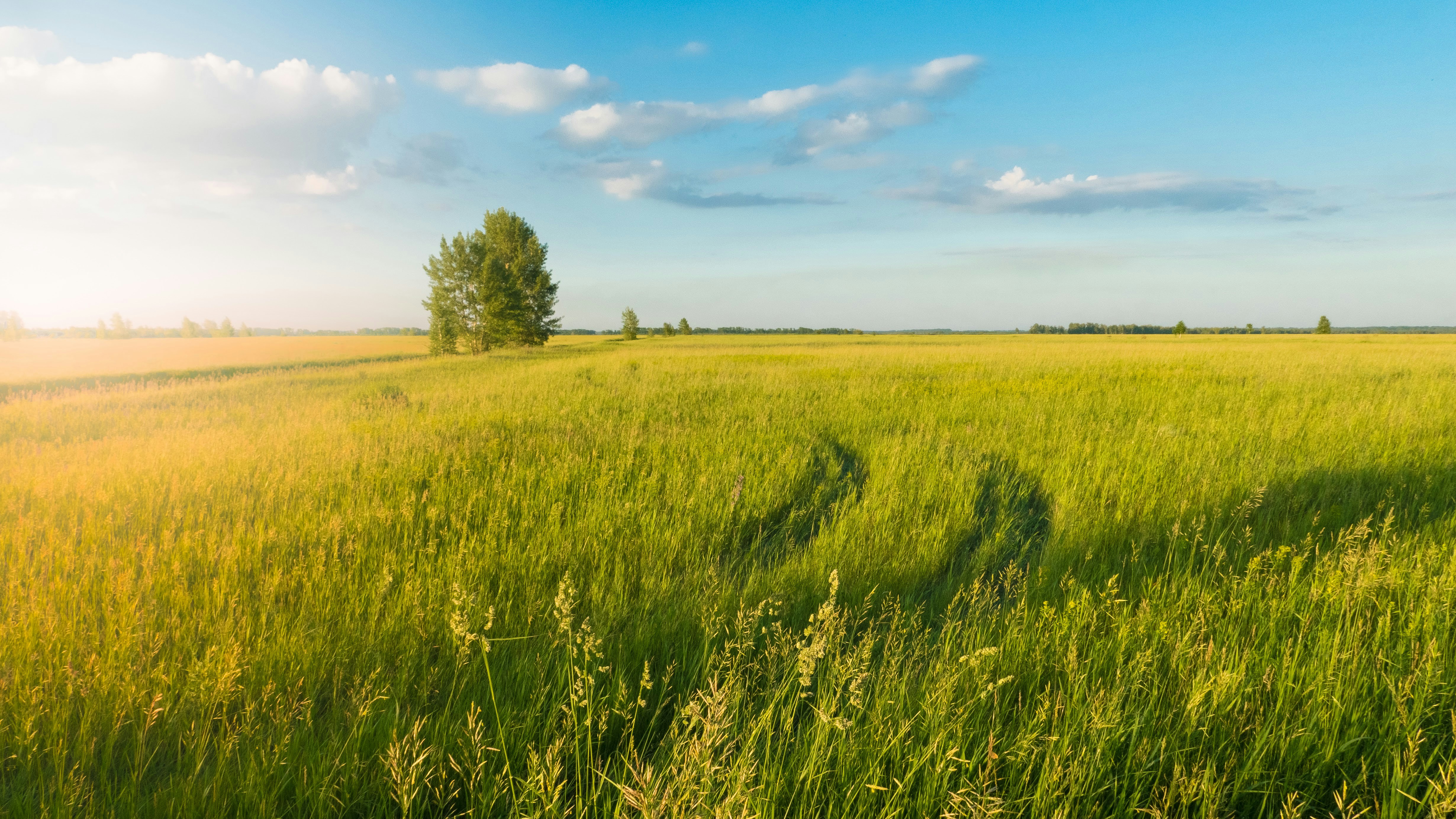 Photo by mrparalloid