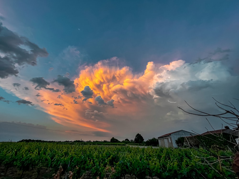 a large cloud is in the sky above a field