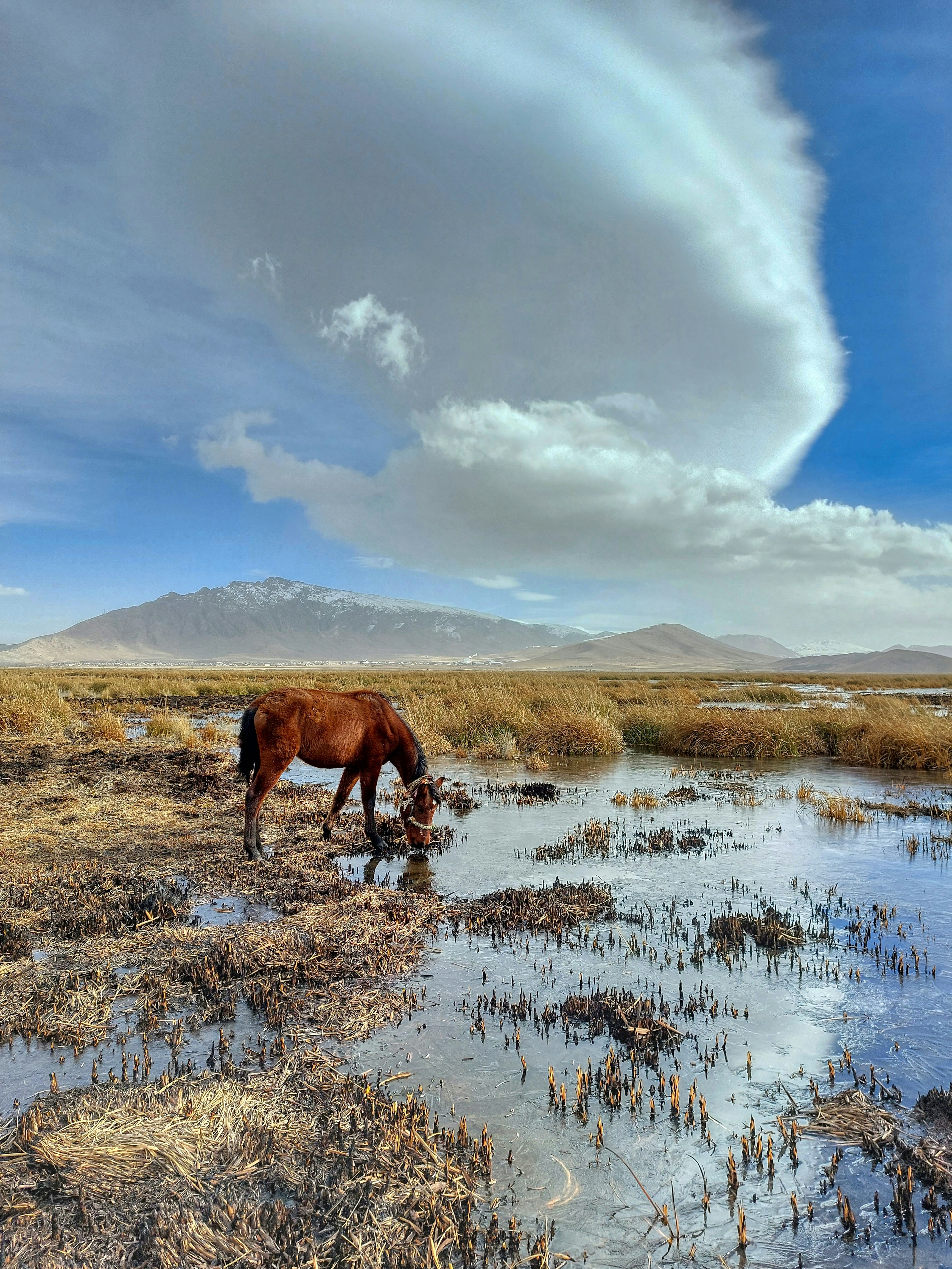 Photo by aliarjmandi