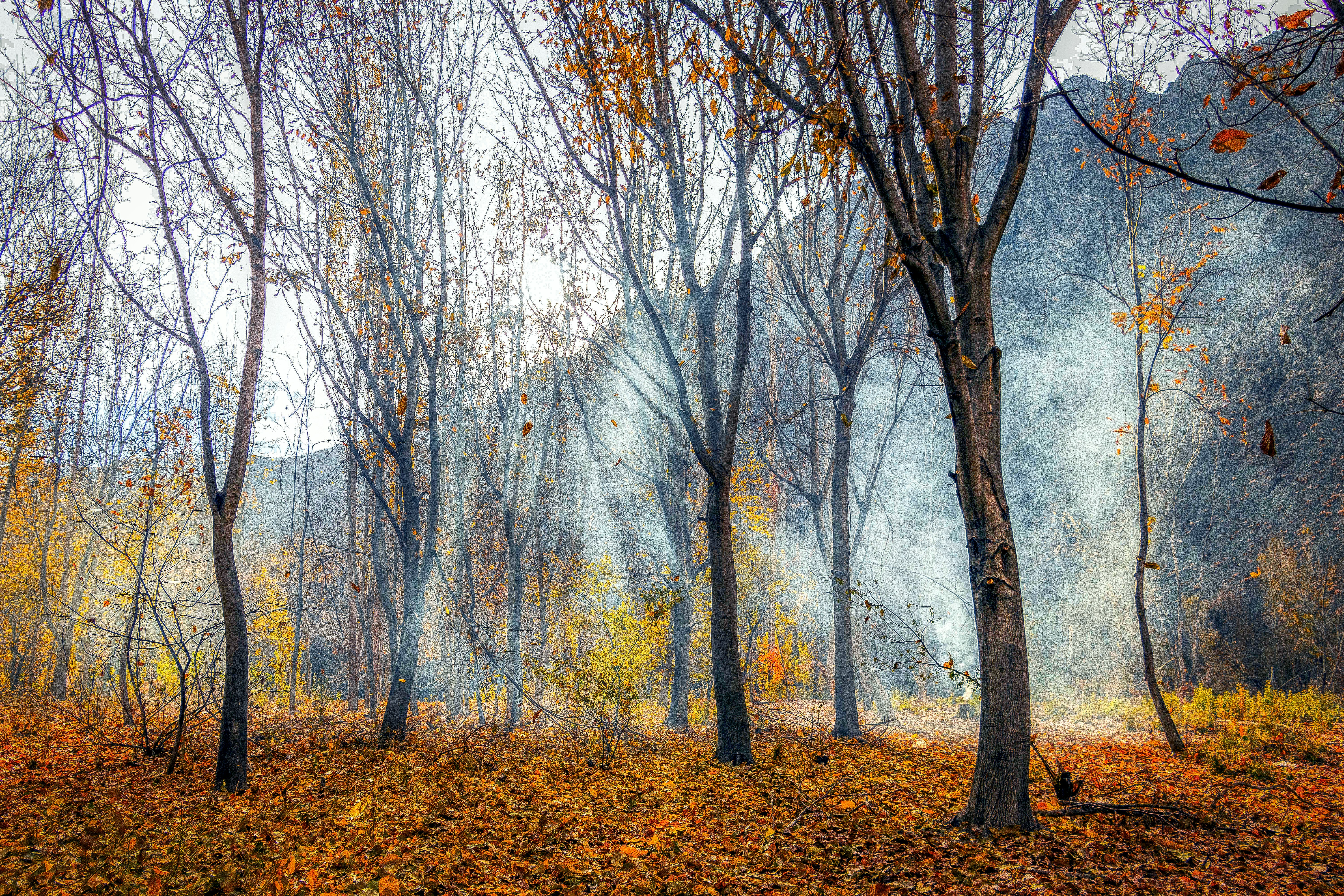 Photo by aliarjmandi