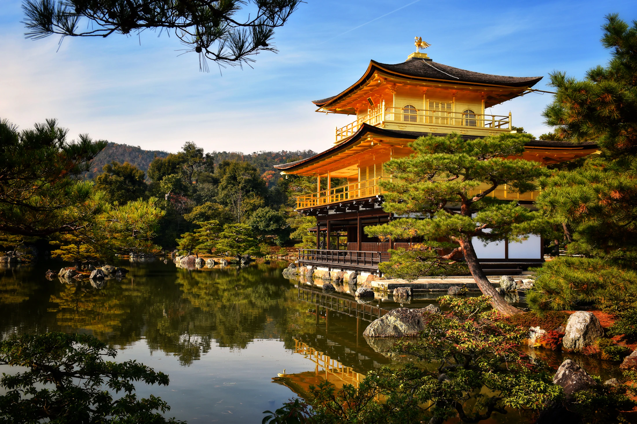 Kinkaku-ji, the Golden Pavilion, reflected in its pond among pines